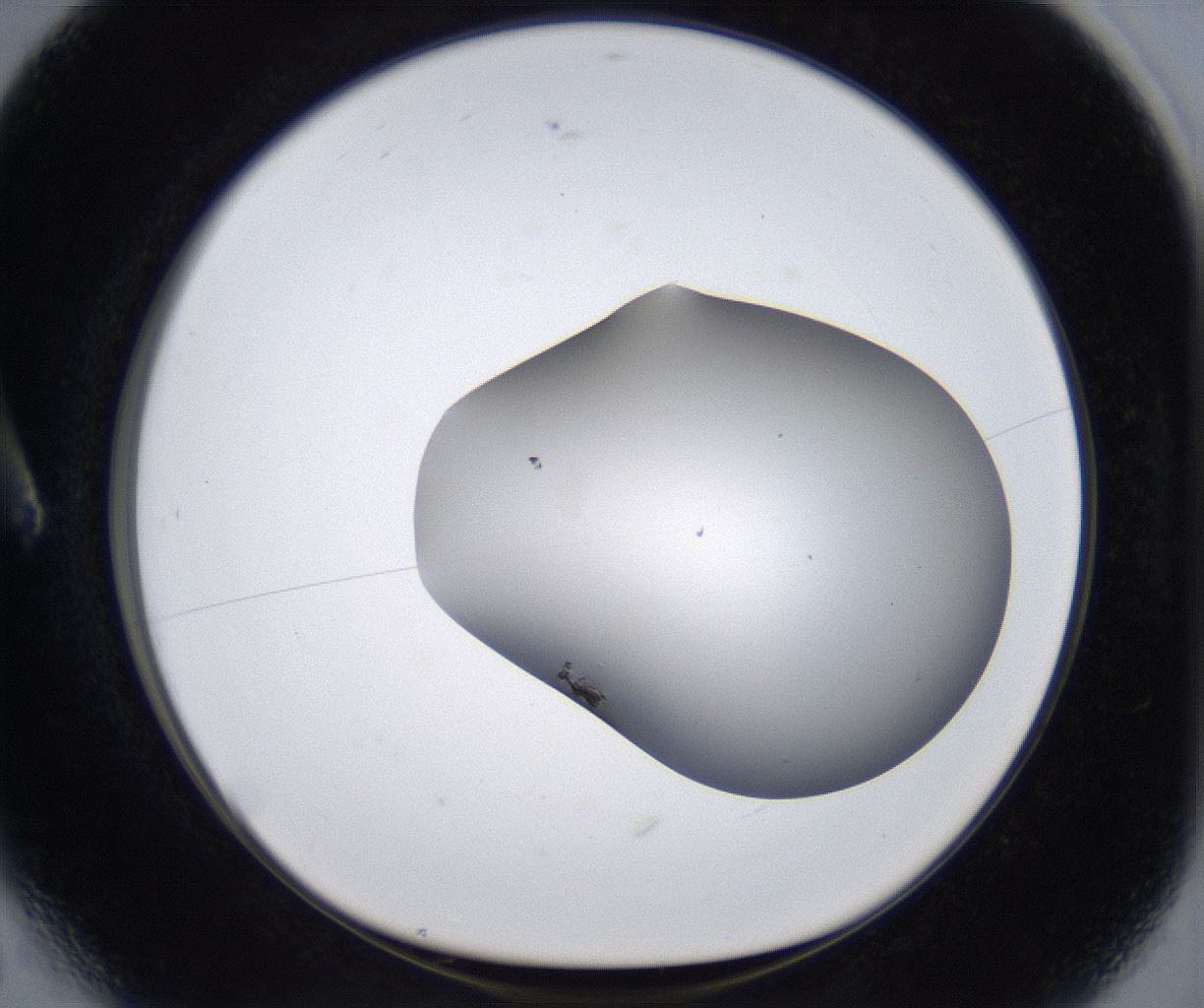 folderID373_plateID2373_batchID11191_wellNum6_profileID1_d1_r175272_ef.jpg