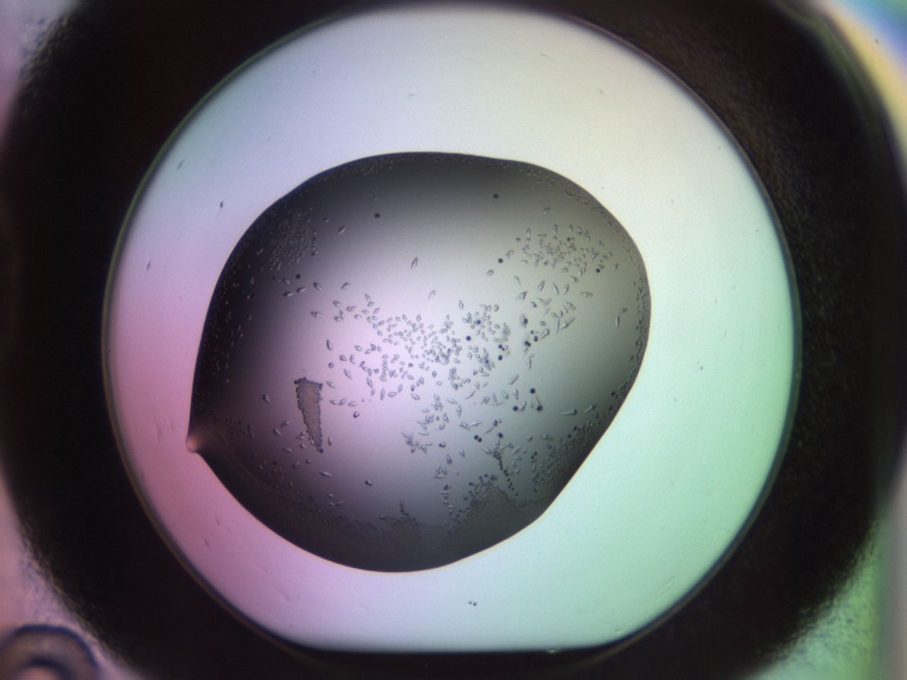 02kl_D10_ImagerDefaults_9.jpg