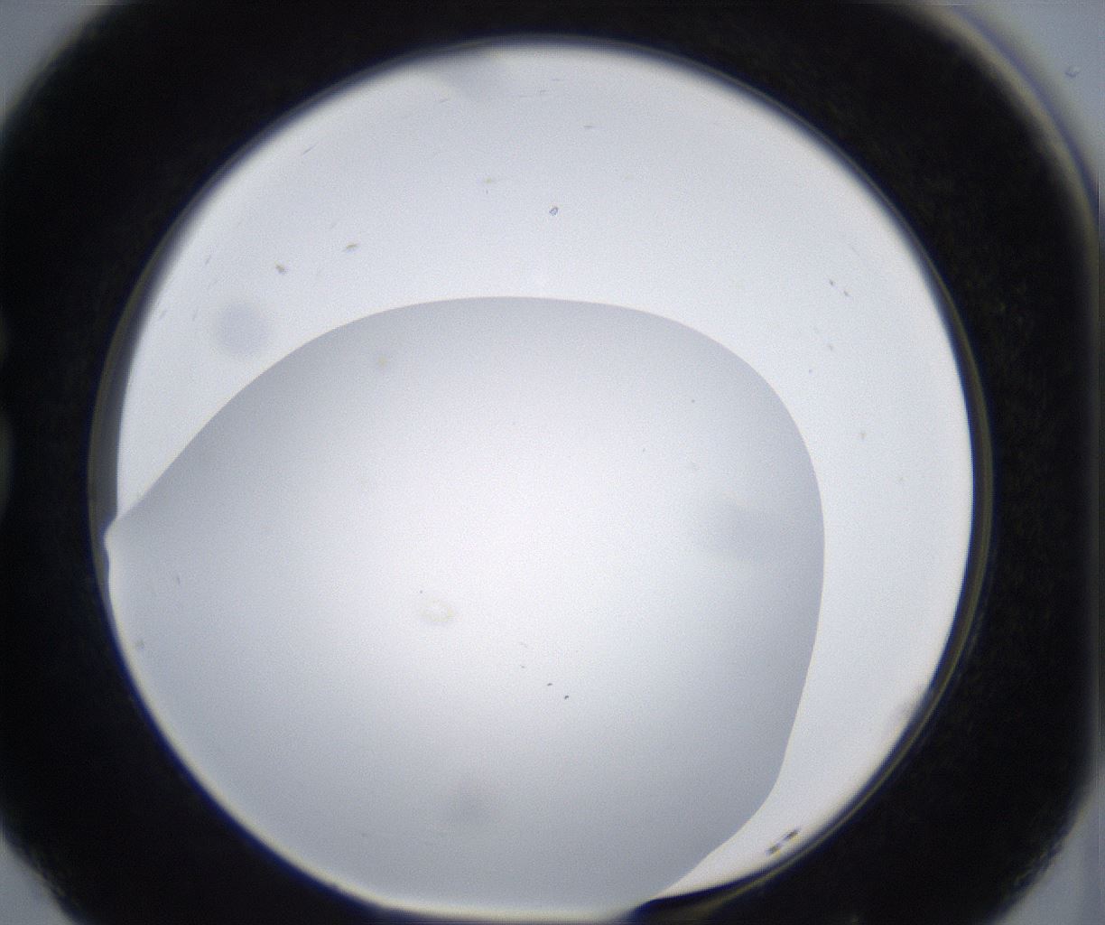 folderID373_plateID2373_batchID11191_wellNum77_profileID1_d1_r175343_ef.jpg
