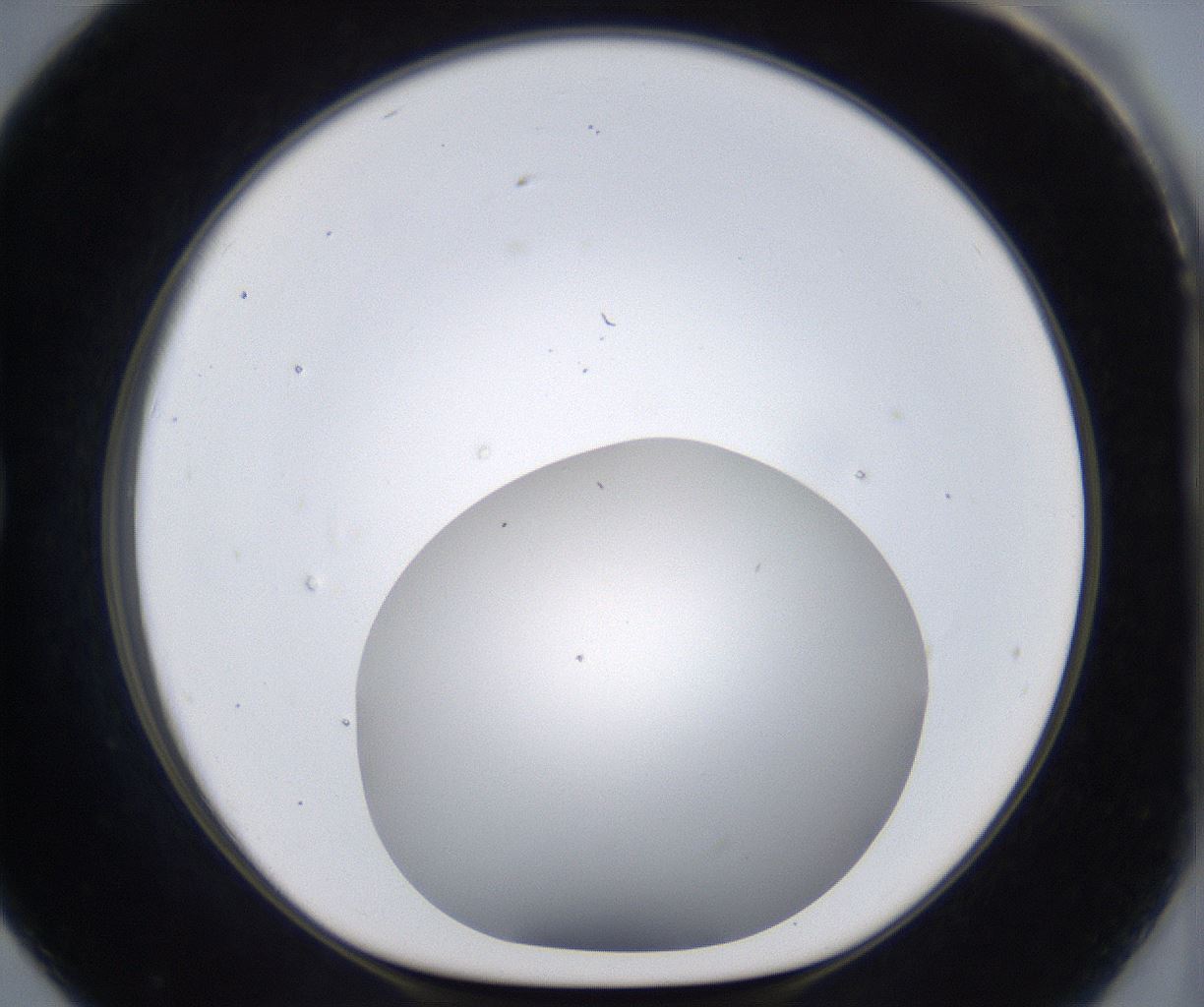 folderID373_plateID2373_batchID11191_wellNum79_profileID1_d1_r175345_ef.jpg