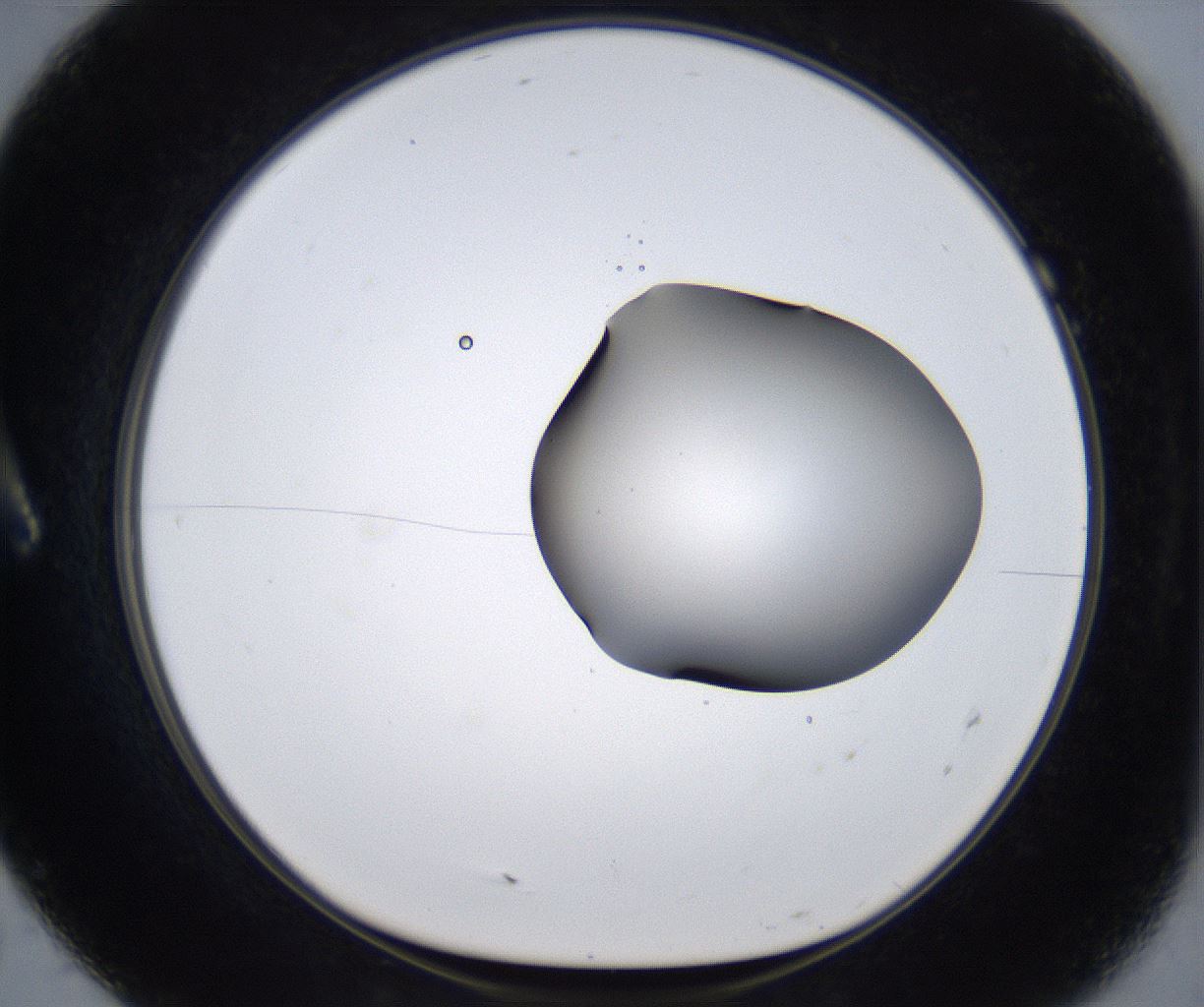 folderID373_plateID2373_batchID11191_wellNum7_profileID1_d1_r175273_ef.jpg