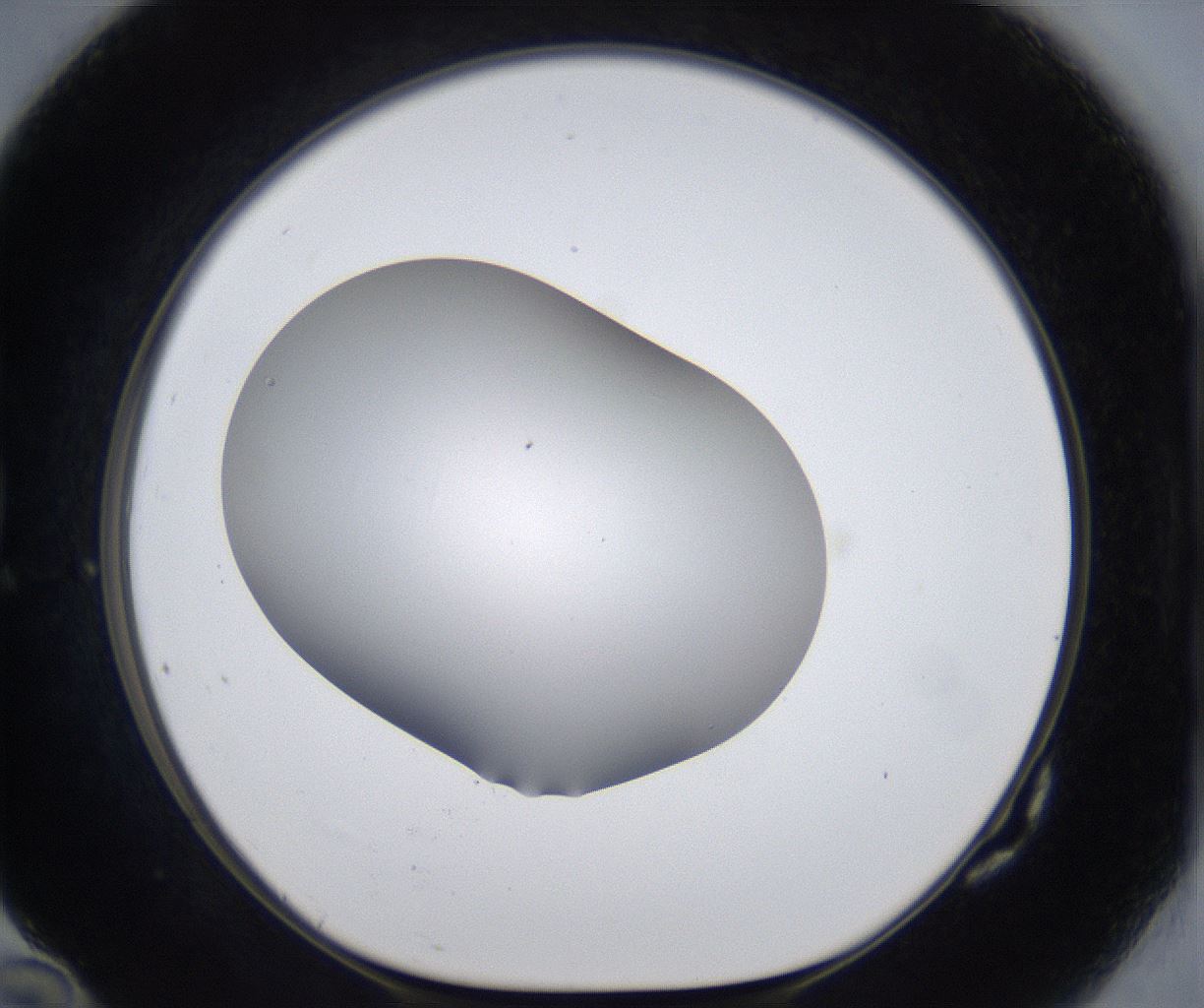 folderID373_plateID2373_batchID11191_wellNum82_profileID1_d1_r175348_ef.jpg