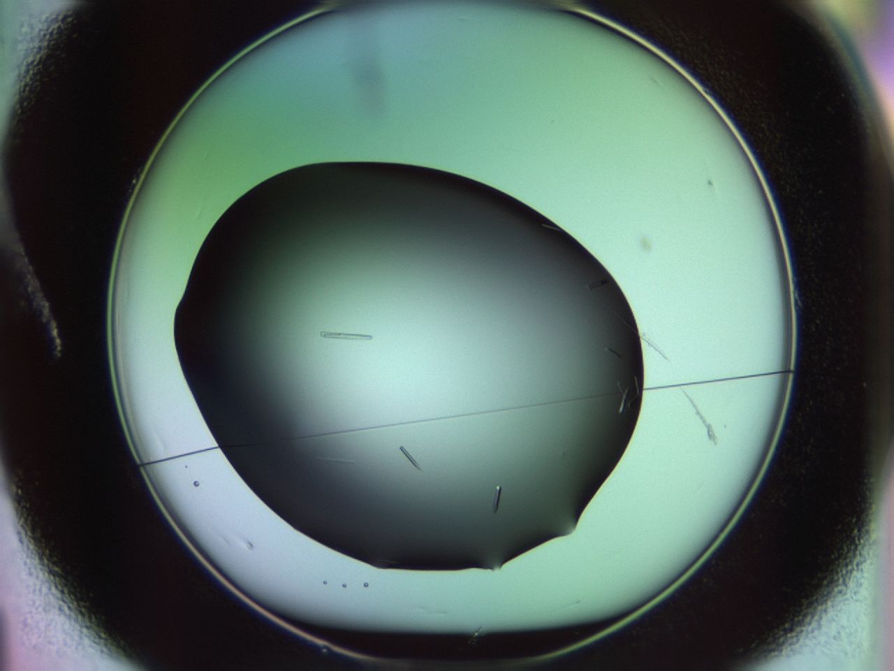 02kl_A1_ImagerDefaults_9.jpg