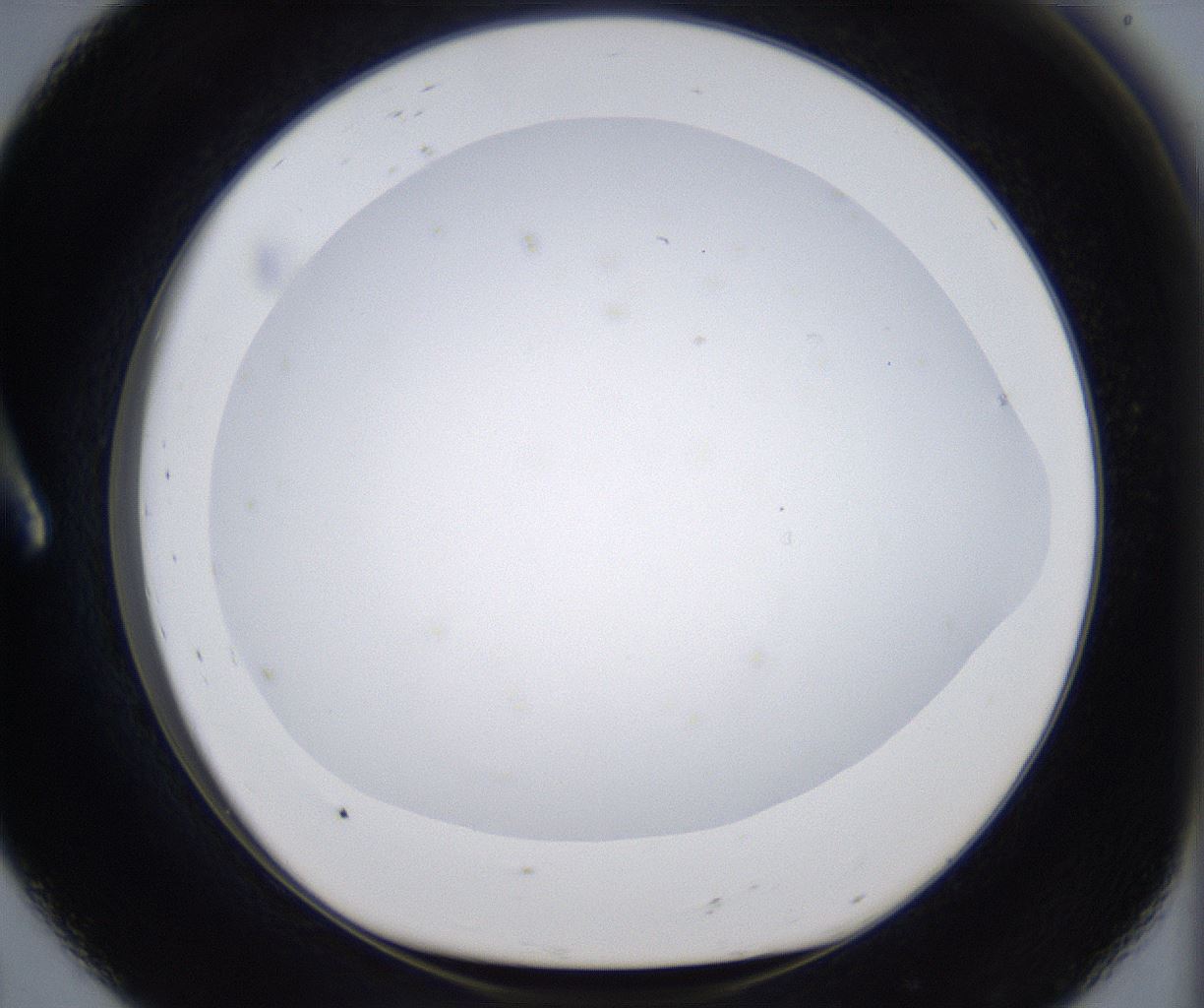folderID373_plateID2373_batchID11191_wellNum8_profileID1_d1_r175274_ef.jpg