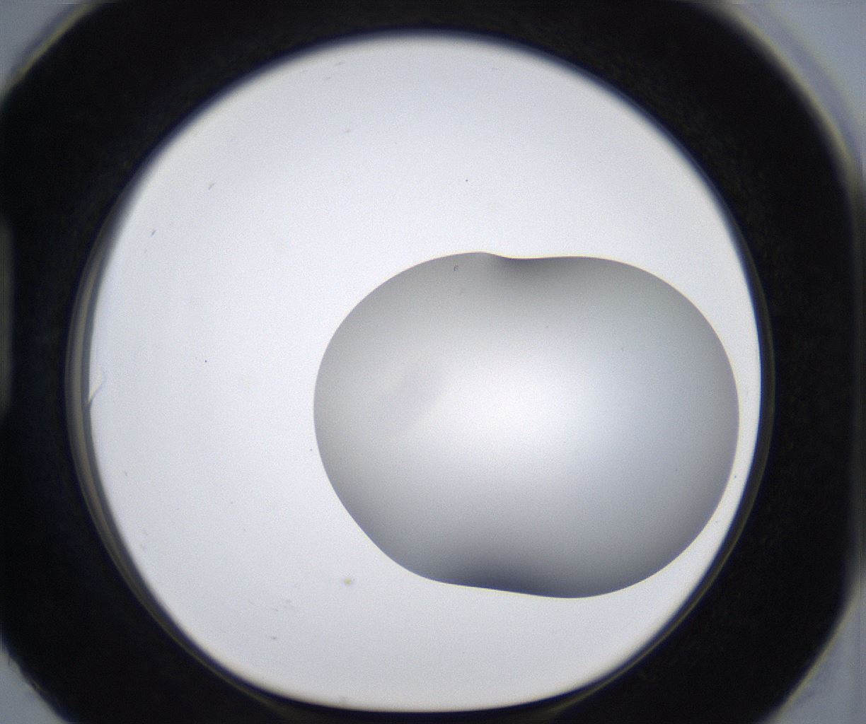 folderID373_plateID2373_batchID11191_wellNum90_profileID1_d1_r175356_ef.jpg