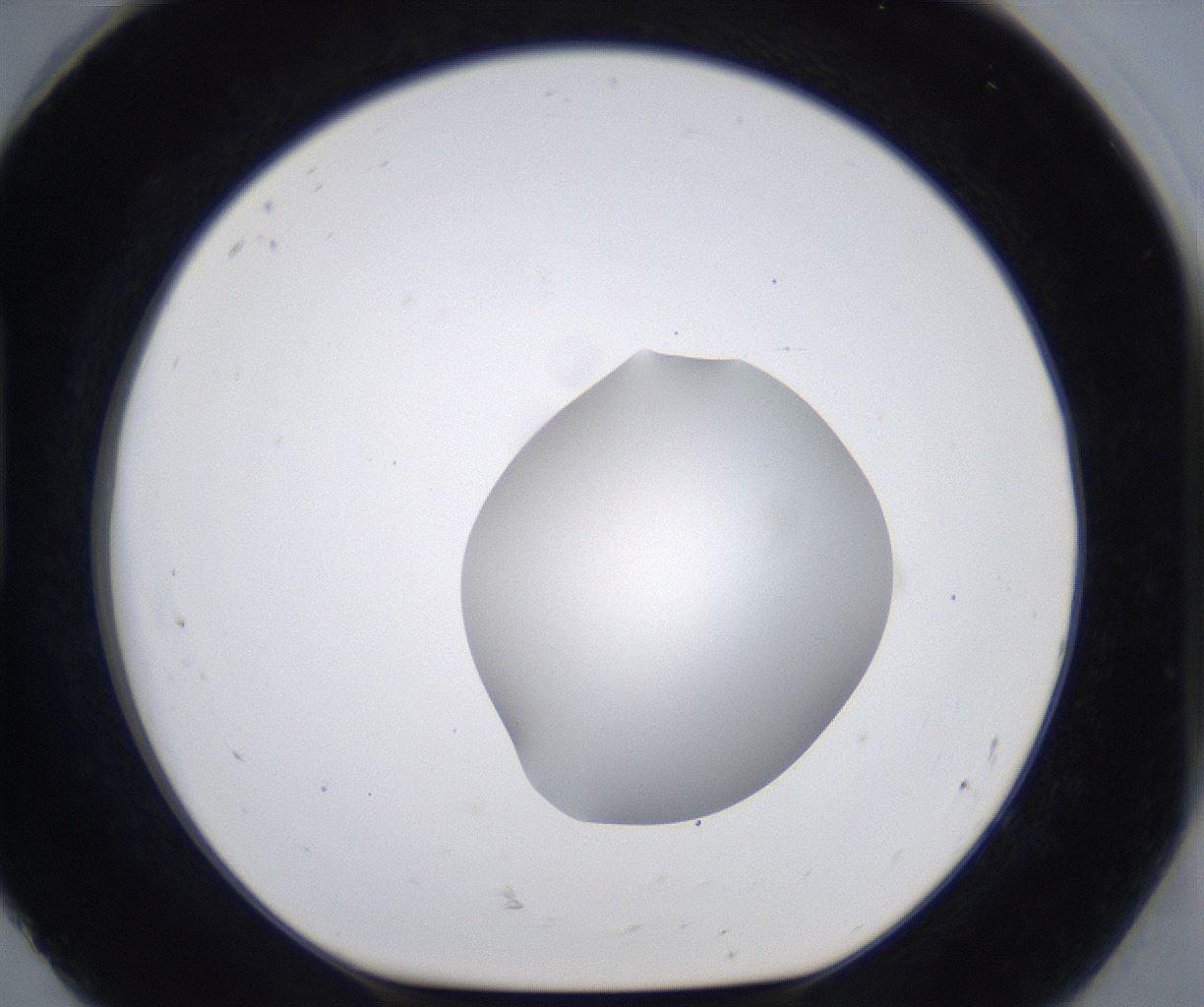 folderID373_plateID2373_batchID11191_wellNum92_profileID1_d1_r175358_ef.jpg