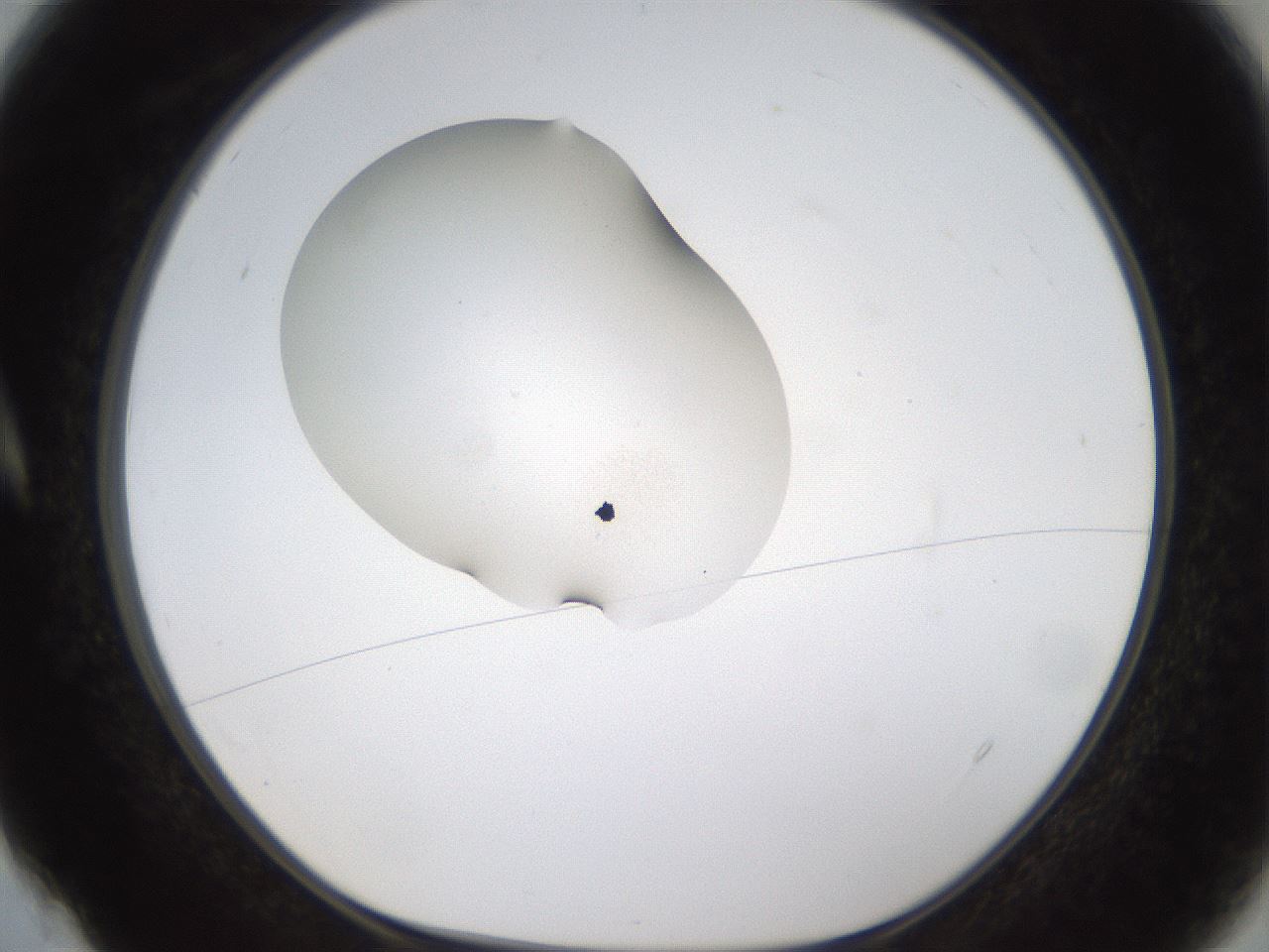 folderID374_plateID1374_batchID4962_wellNum4_profileID1_d1_r83635_ef.jpg