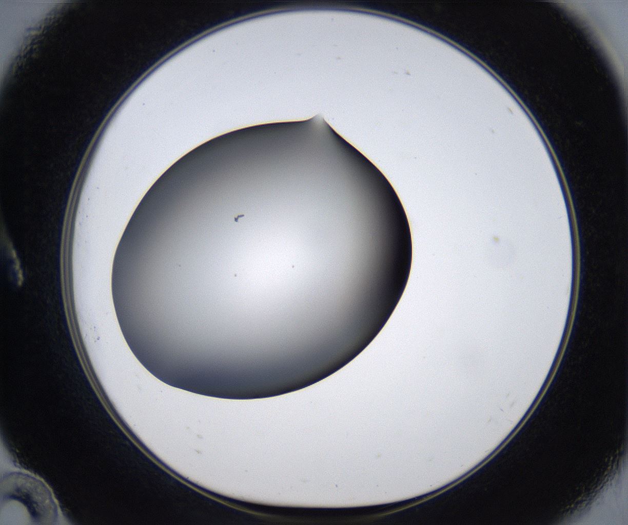 folderID374_plateID2374_batchID11190_wellNum10_profileID1_d1_r175180_ef.jpg