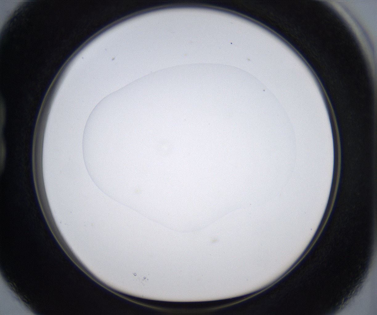 folderID374_plateID2374_batchID11190_wellNum15_profileID1_d1_r175185_ef.jpg
