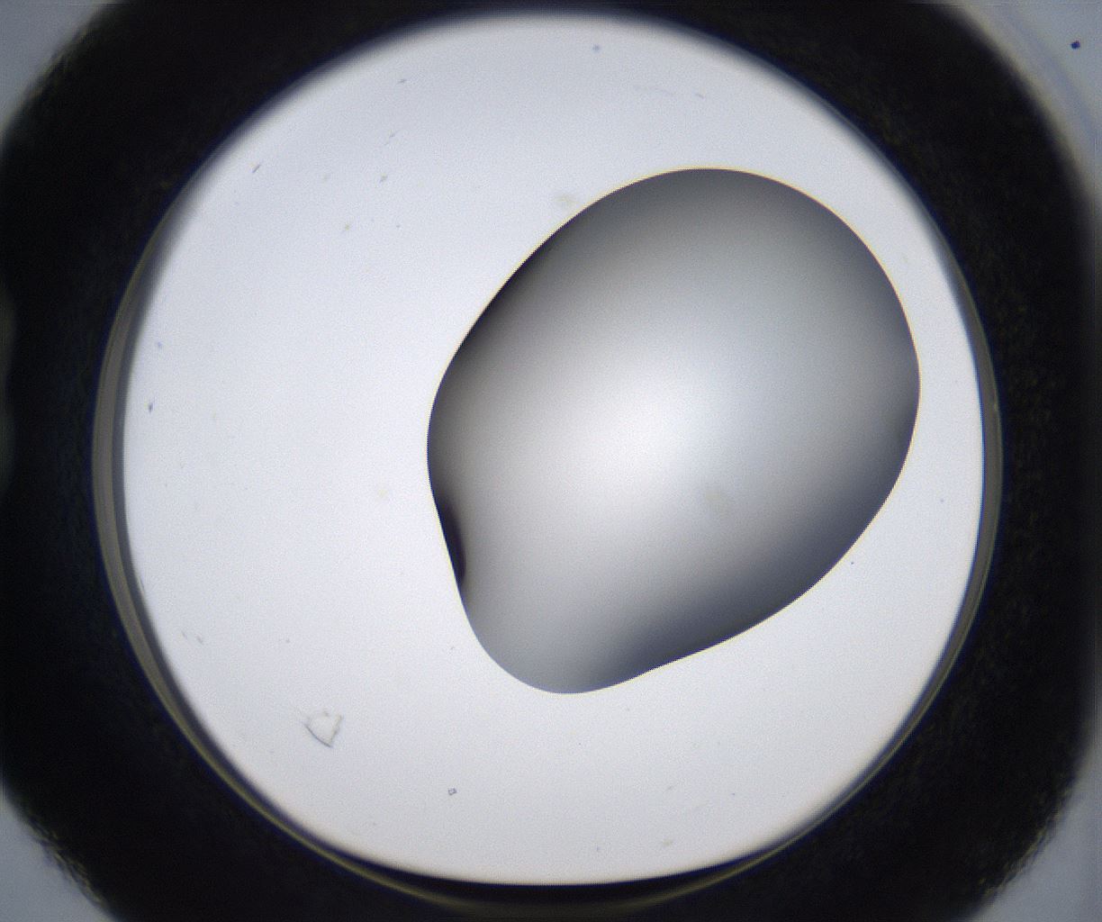 folderID374_plateID2374_batchID11190_wellNum16_profileID1_d1_r175186_ef.jpg