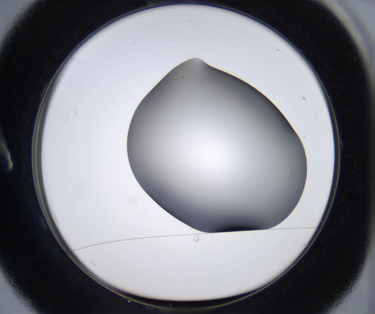 folderID374_plateID2374_batchID11190_wellNum1_profileID1_d1_r175171_ef.jpg