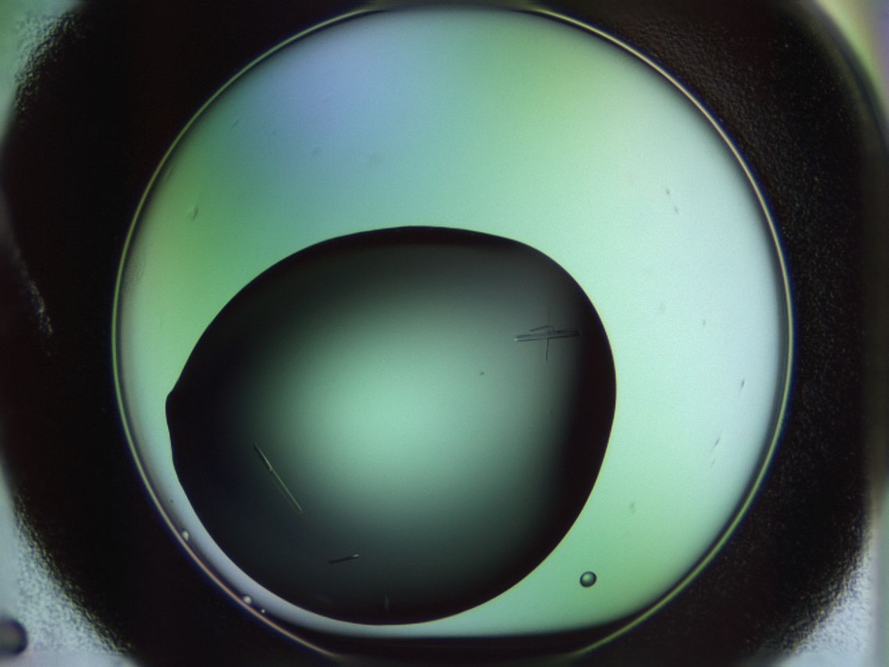 02kl_A5_ImagerDefaults_9.jpg
