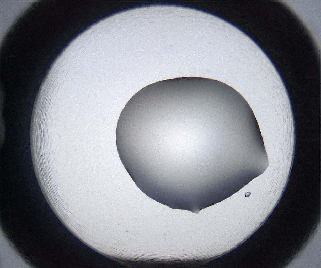 folderID374_plateID2374_batchID11190_wellNum20_profileID1_d1_r175190_ef.jpg