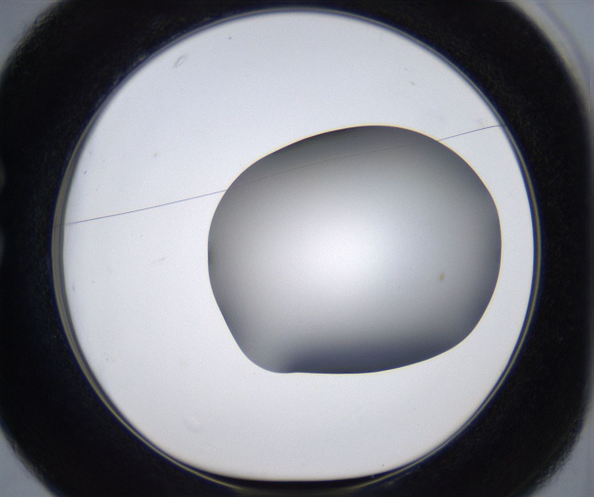 folderID374_plateID2374_batchID11190_wellNum25_profileID1_d1_r175195_ef.jpg