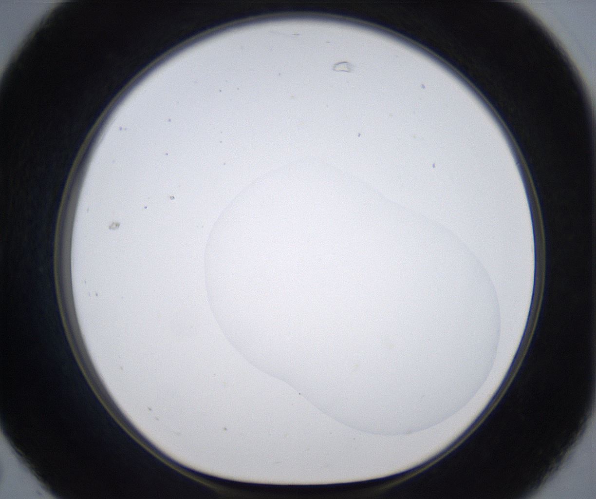 folderID374_plateID2374_batchID11190_wellNum31_profileID1_d1_r175201_ef.jpg