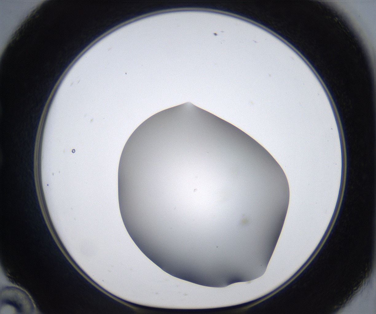 folderID374_plateID2374_batchID11190_wellNum34_profileID1_d1_r175204_ef.jpg