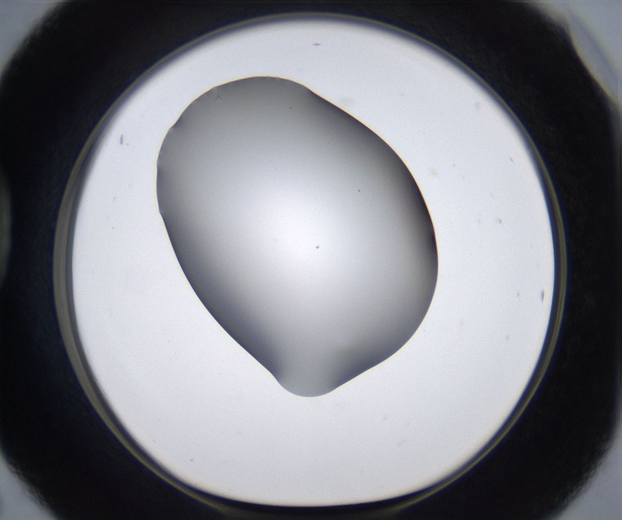 folderID374_plateID2374_batchID11190_wellNum42_profileID1_d1_r175212_ef.jpg