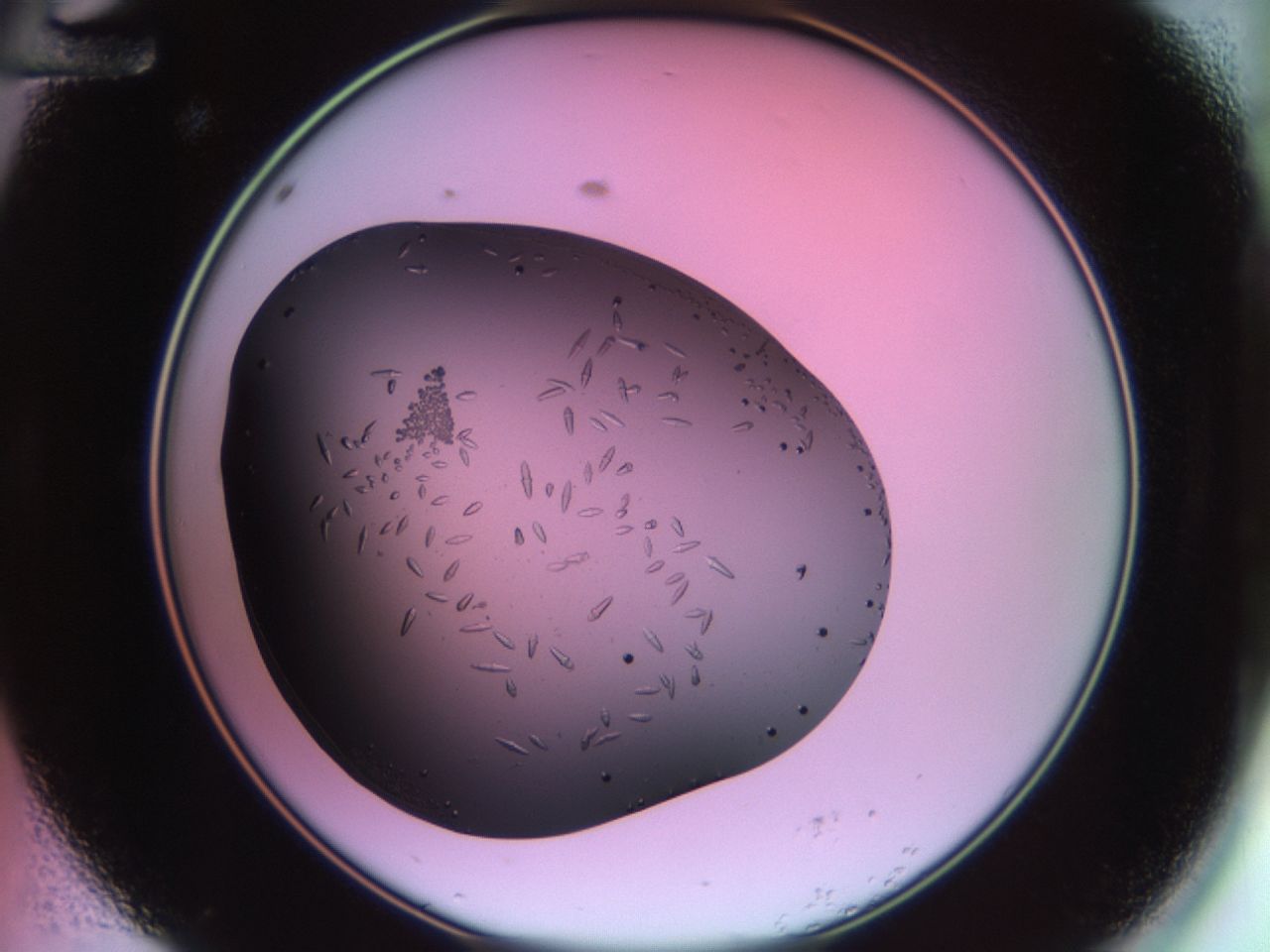 02kl_A12_ImagerDefaults_9.jpg