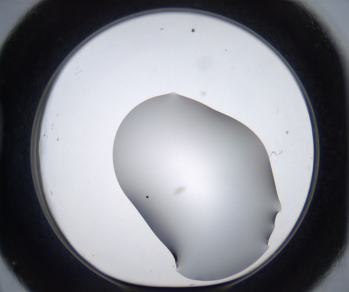folderID374_plateID2374_batchID11190_wellNum45_profileID1_d1_r175215_ef.jpg