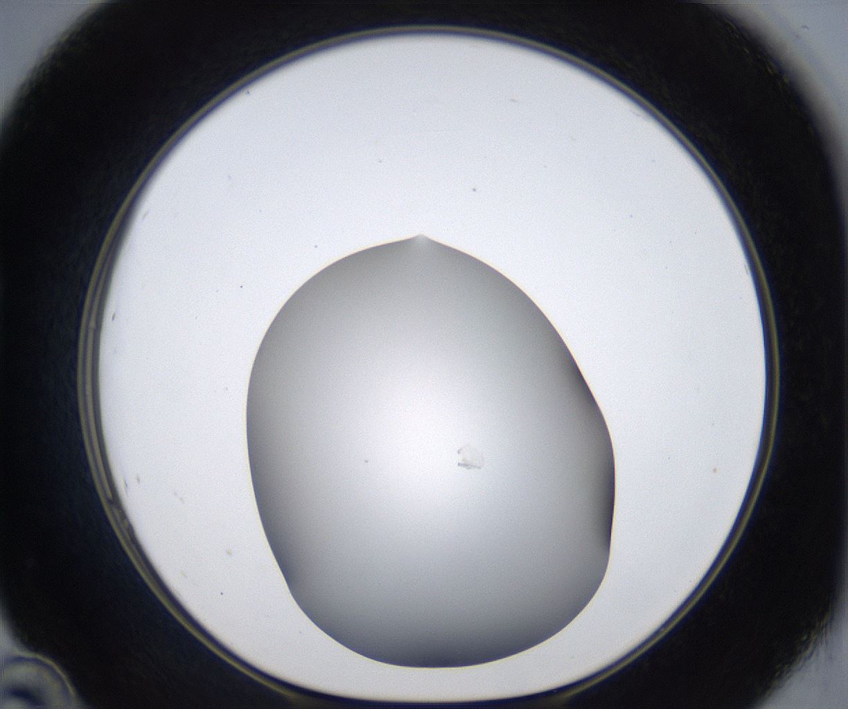 folderID374_plateID2374_batchID11190_wellNum46_profileID1_d1_r175216_ef.jpg