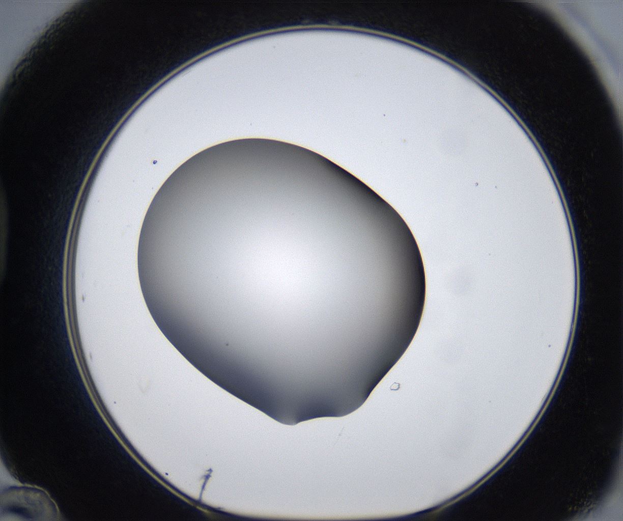 folderID374_plateID2374_batchID11190_wellNum48_profileID1_d1_r175218_ef.jpg