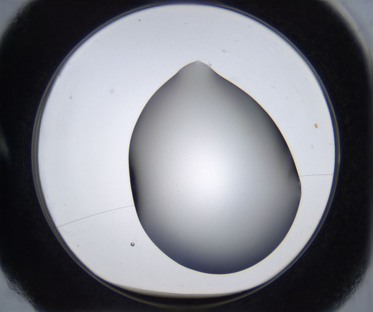 folderID374_plateID2374_batchID11190_wellNum4_profileID1_d1_r175174_ef.jpg