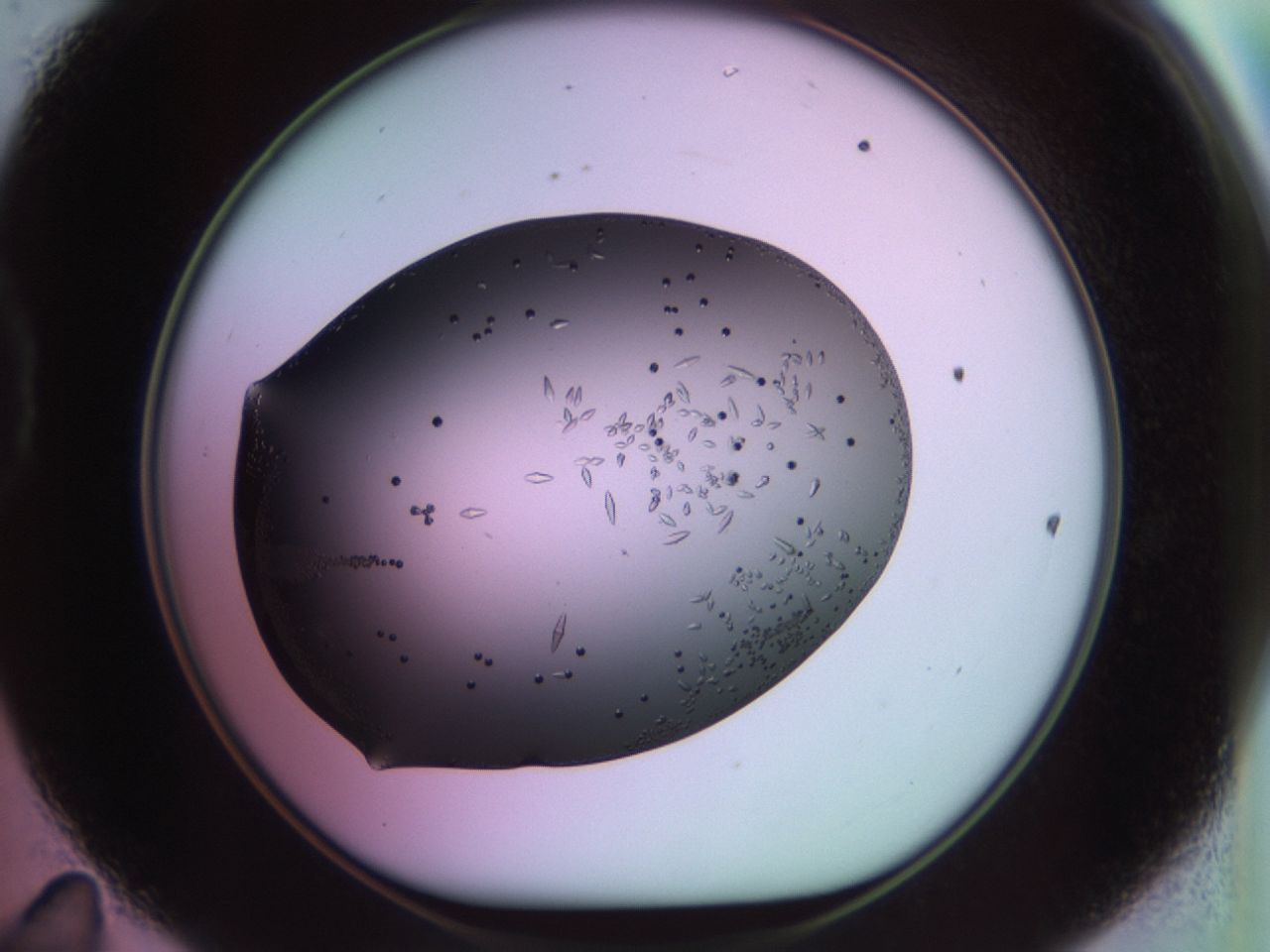 02kl_D11_ImagerDefaults_9.jpg