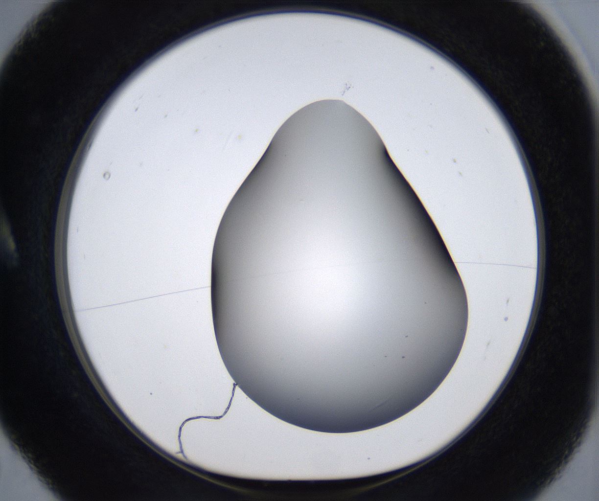 folderID374_plateID2374_batchID11190_wellNum5_profileID1_d1_r175175_ef.jpg