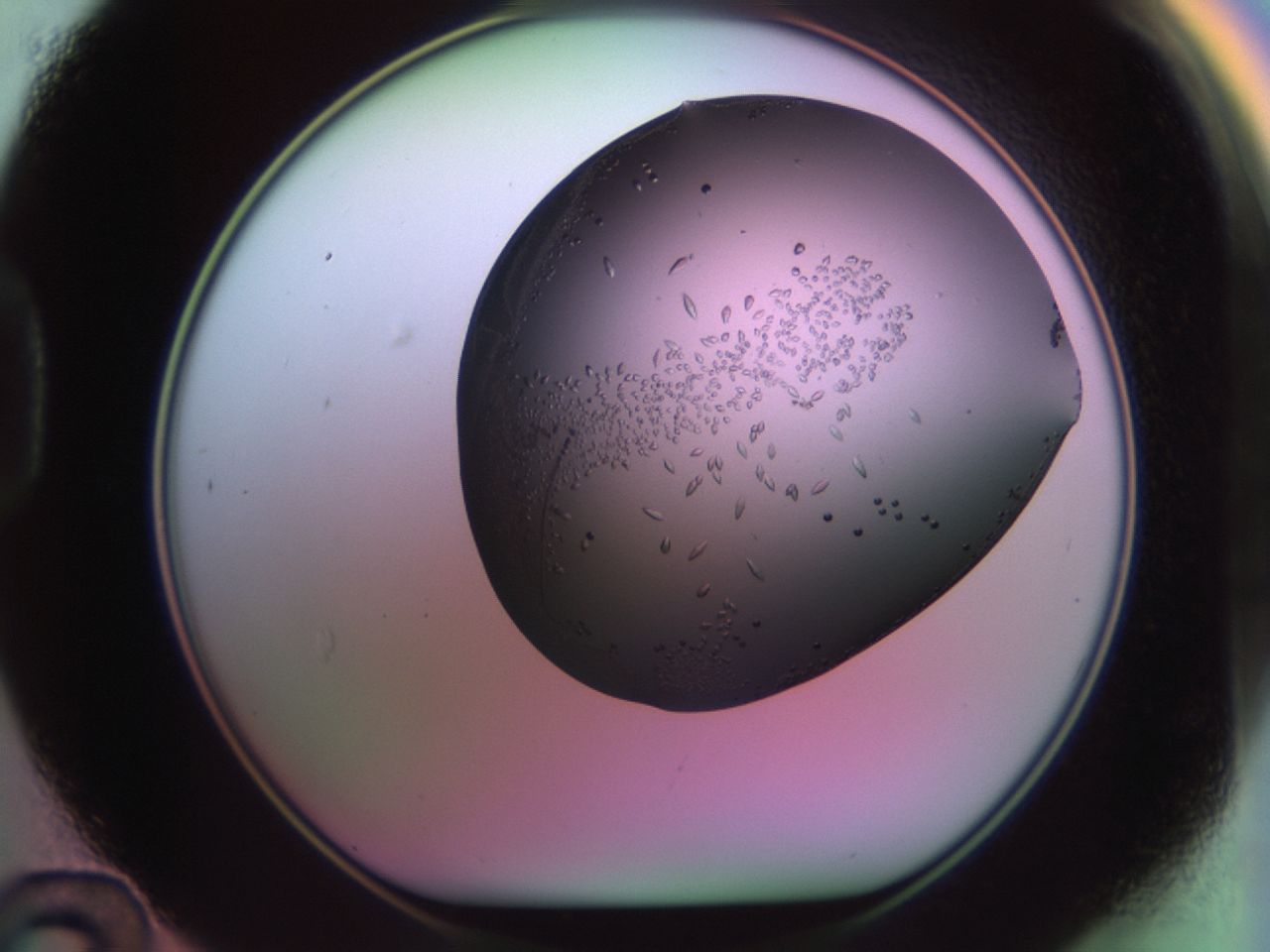 02kl_D12_ImagerDefaults_9.jpg