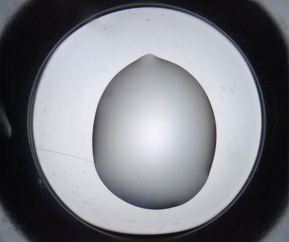 folderID374_plateID2374_batchID11190_wellNum9_profileID1_d1_r175179_ef.jpg
