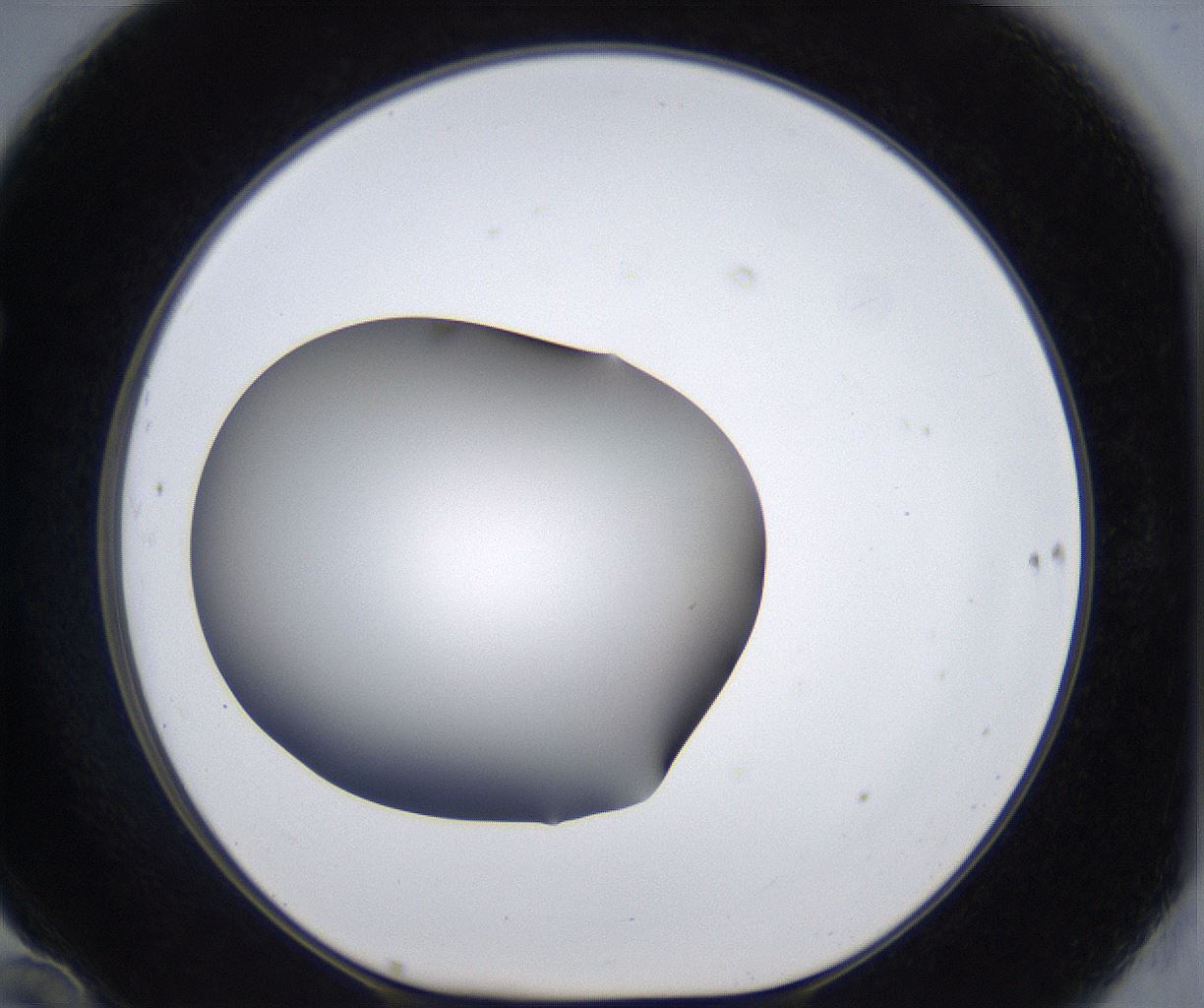 folderID374_plateID2374_batchID11190_wellNum70_profileID1_d1_r175240_ef.jpg