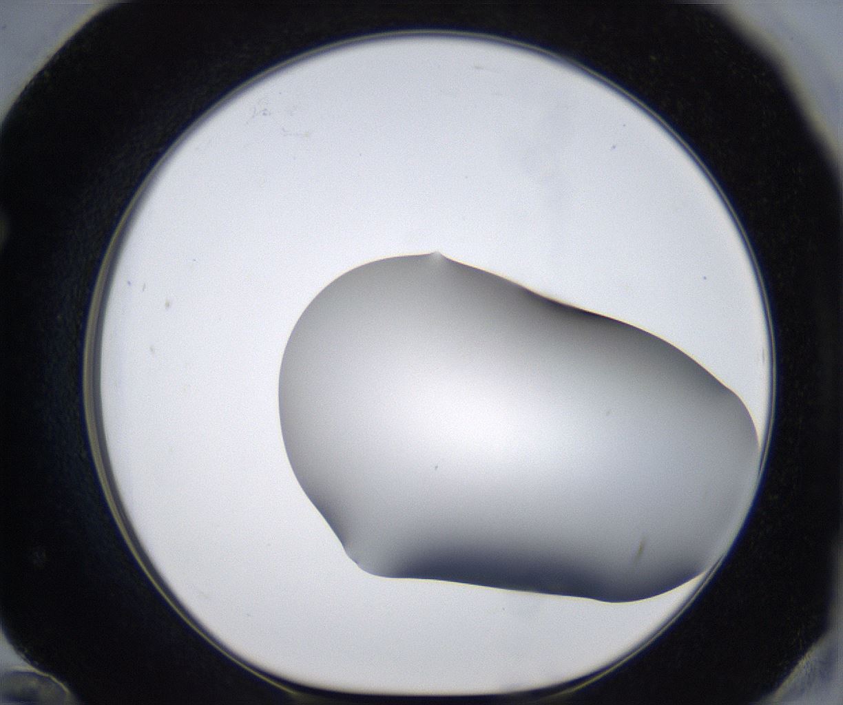 folderID374_plateID2374_batchID11190_wellNum72_profileID1_d1_r175242_ef.jpg