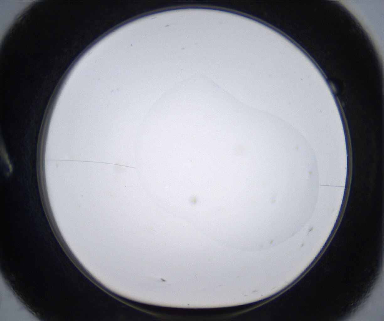 folderID374_plateID2374_batchID11190_wellNum7_profileID1_d1_r175177_ef.jpg