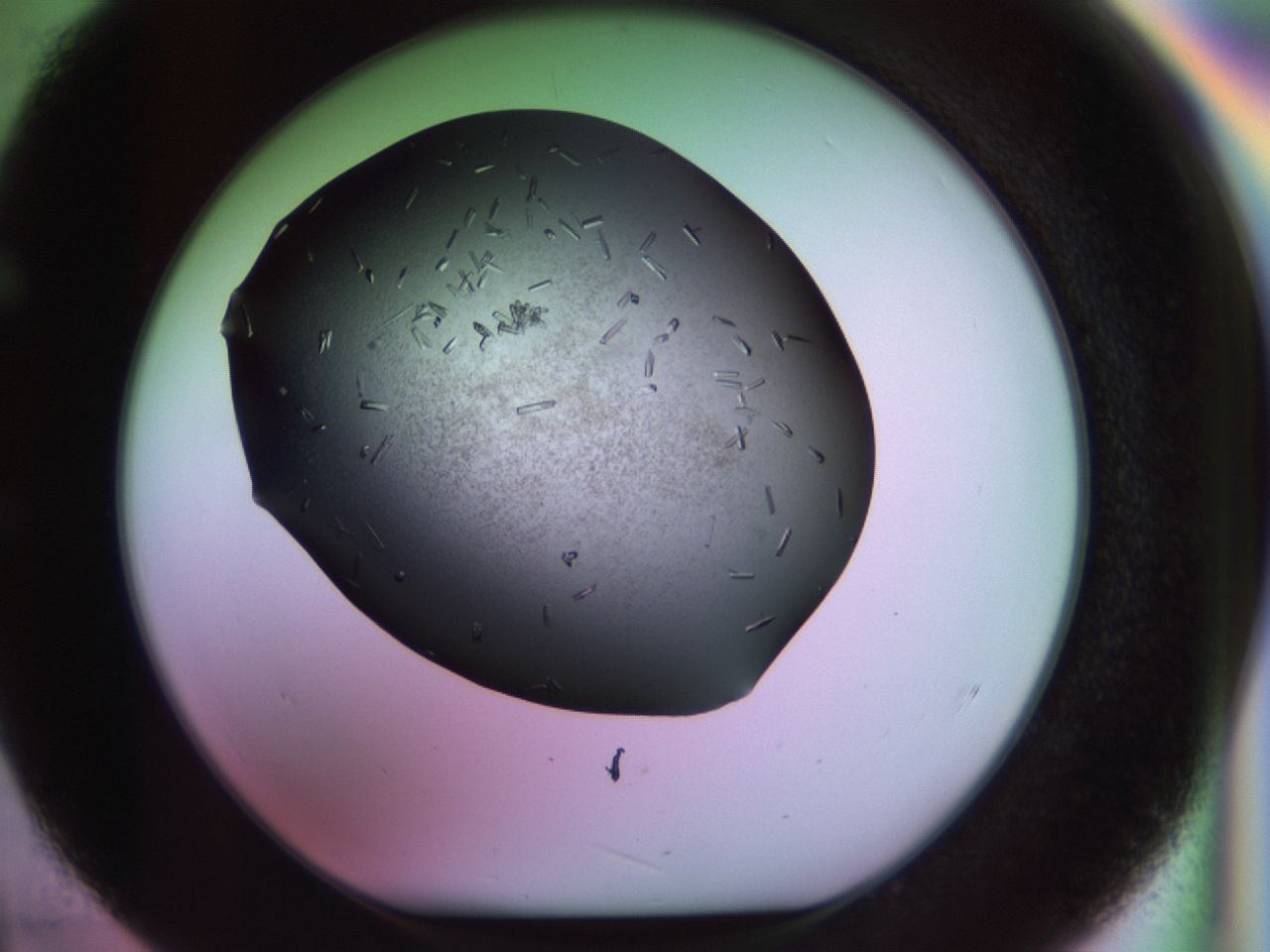 02kl_E4_ImagerDefaults_9.jpg