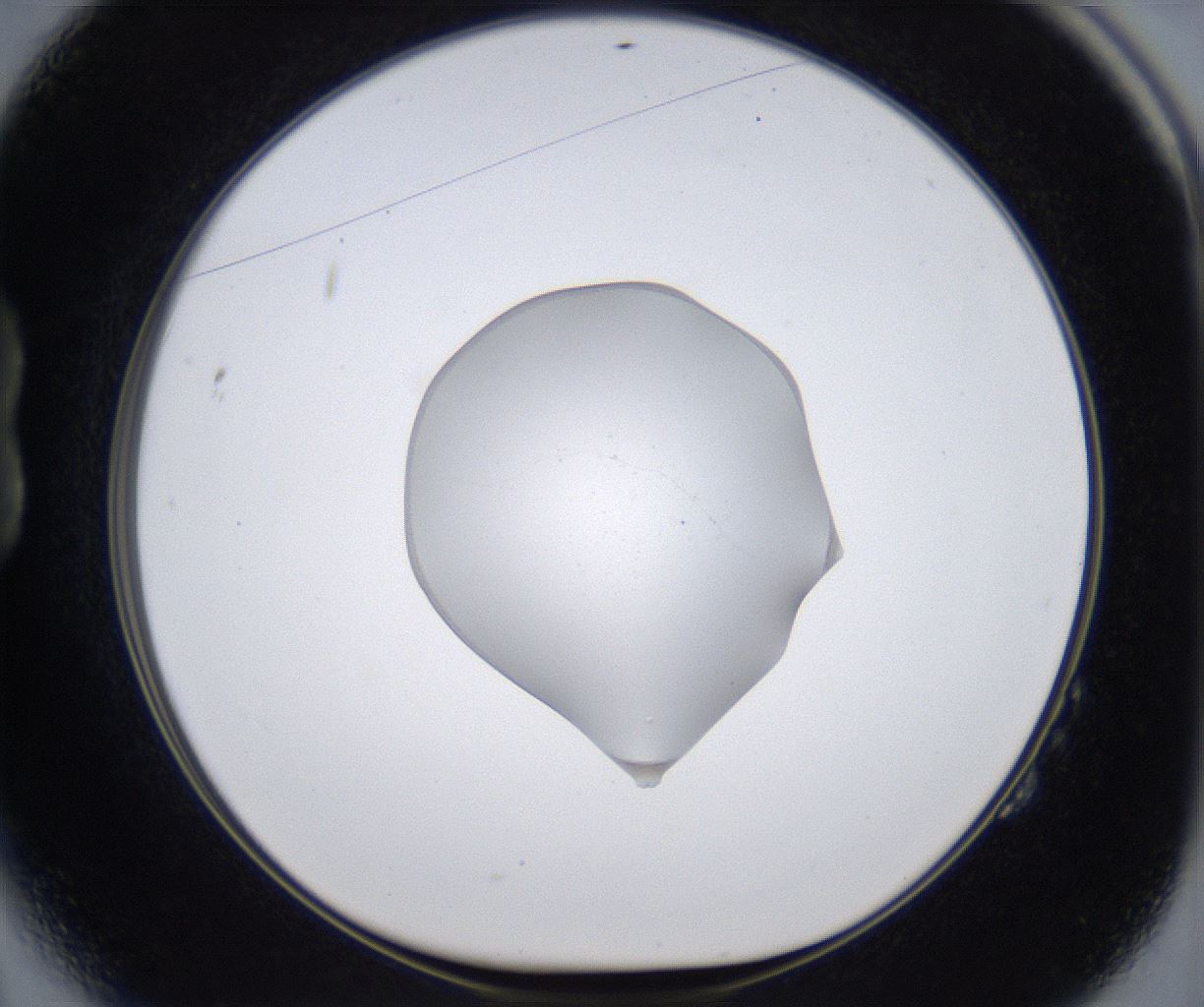 folderID377_plateID2377_batchID11227_wellNum14_profileID1_d1_r175664_ef.jpg