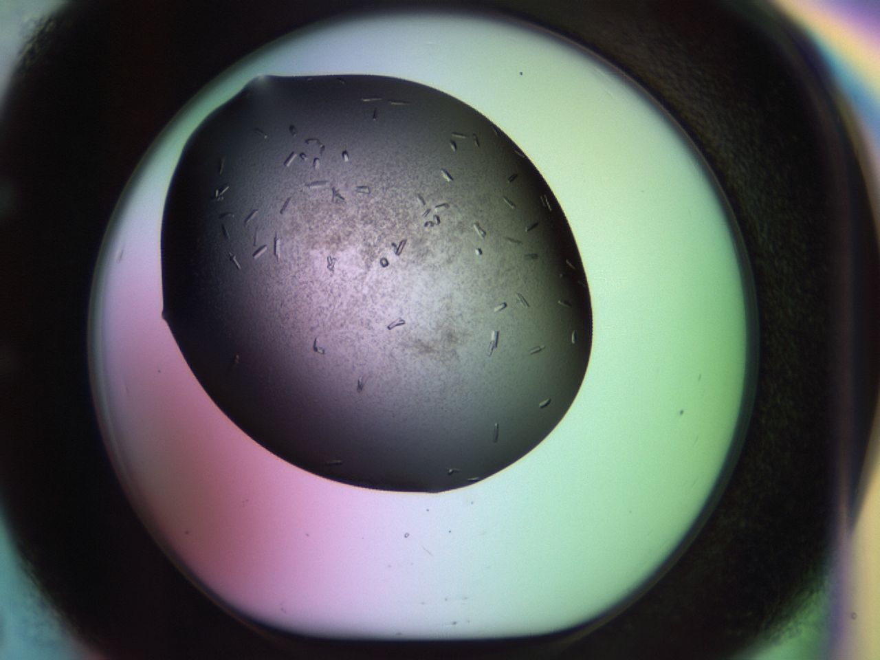 02kl_E5_ImagerDefaults_9.jpg