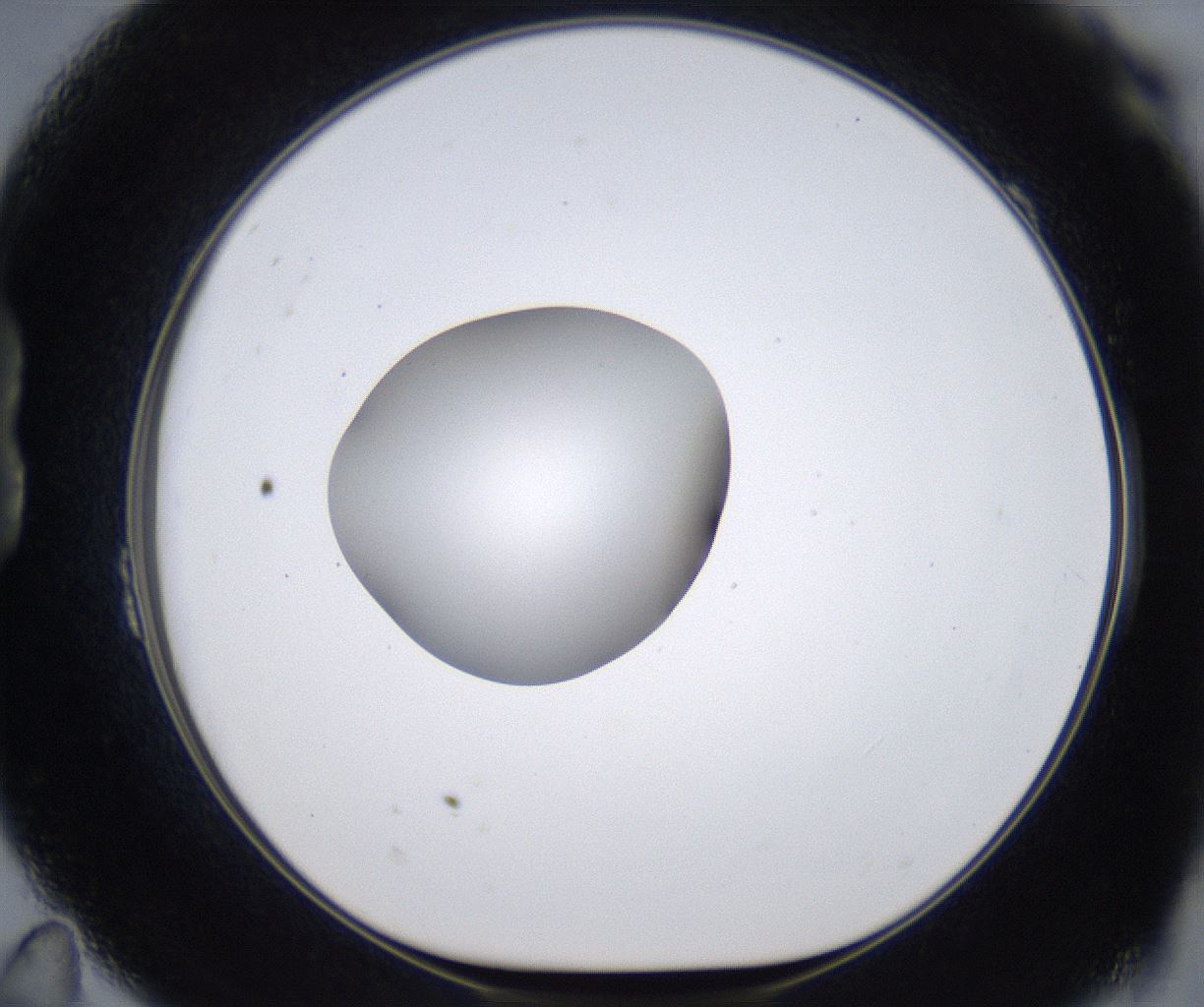 folderID377_plateID2377_batchID11227_wellNum23_profileID1_d1_r175673_ef.jpg