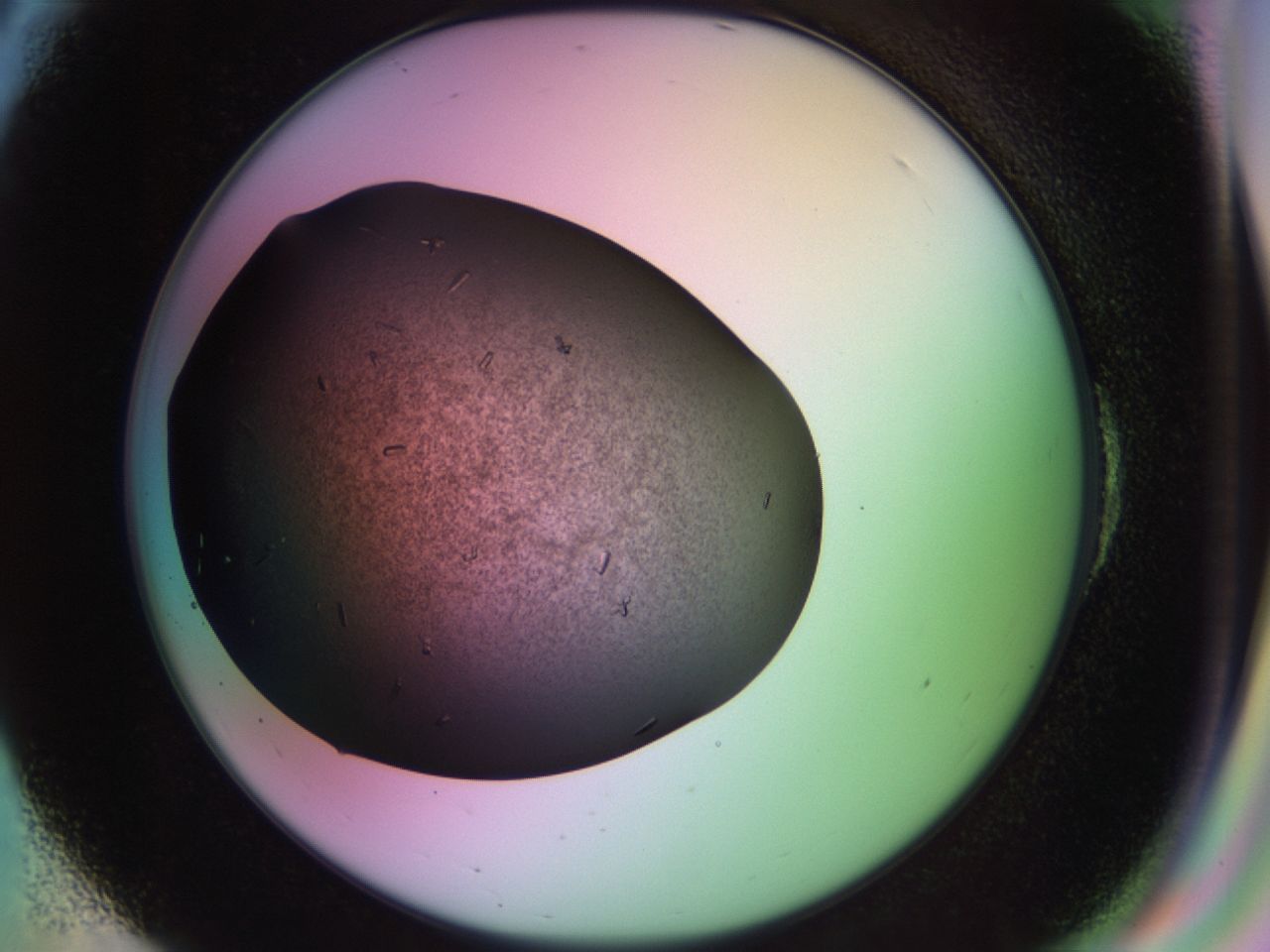 02kl_E6_ImagerDefaults_9.jpg