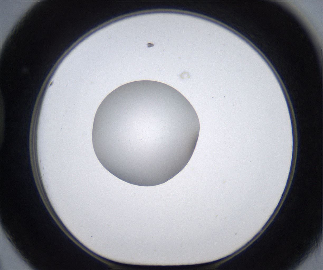 folderID377_plateID2377_batchID11227_wellNum44_profileID1_d1_r175694_ef.jpg