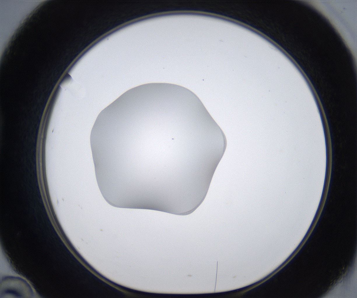 folderID377_plateID2377_batchID11227_wellNum46_profileID1_d1_r175696_ef.jpg