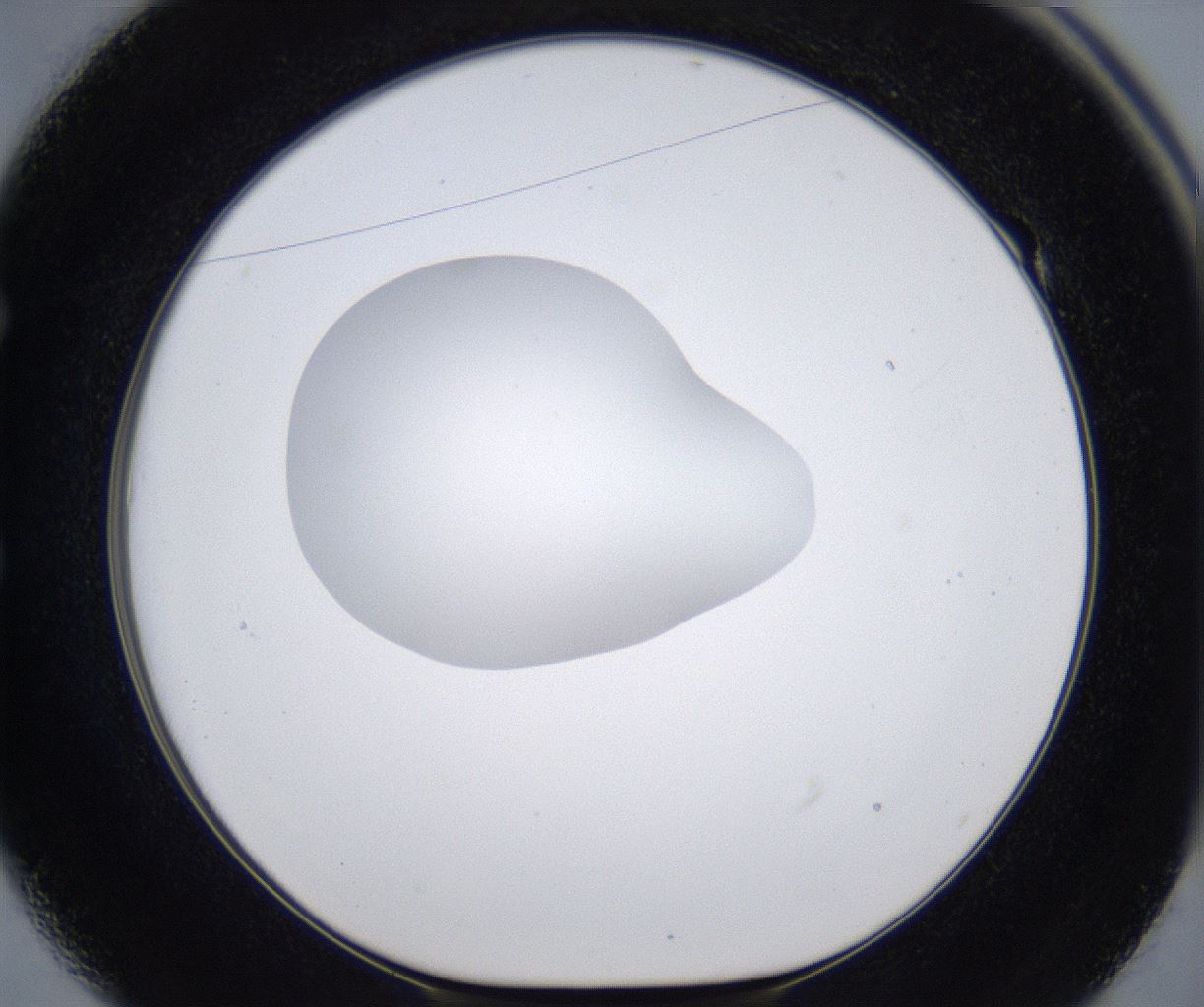 folderID377_plateID2377_batchID11227_wellNum49_profileID1_d1_r175699_ef.jpg