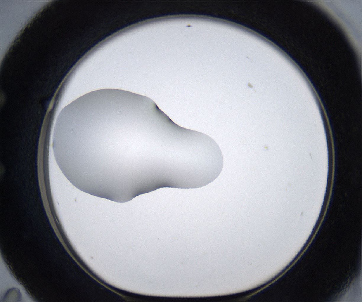 folderID377_plateID2377_batchID11227_wellNum59_profileID1_d1_r175709_ef.jpg