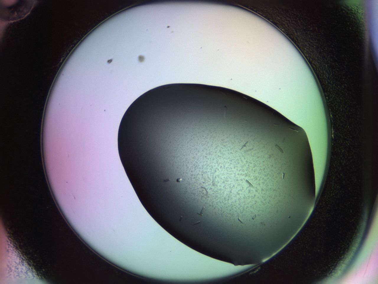 02kl_E10_ImagerDefaults_9.jpg