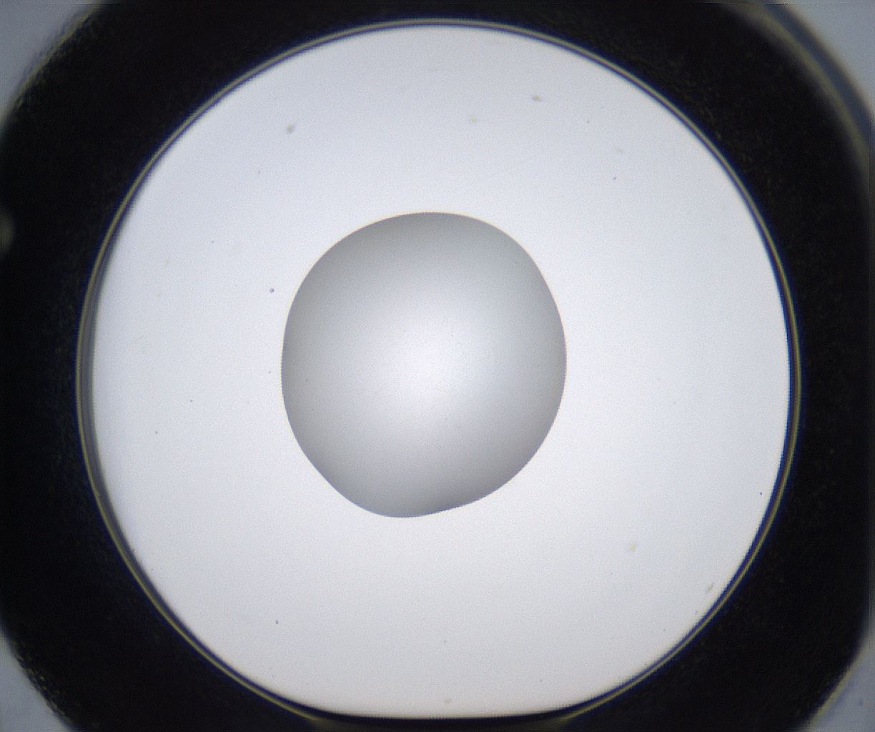folderID377_plateID2377_batchID11227_wellNum62_profileID1_d1_r175712_ef.jpg