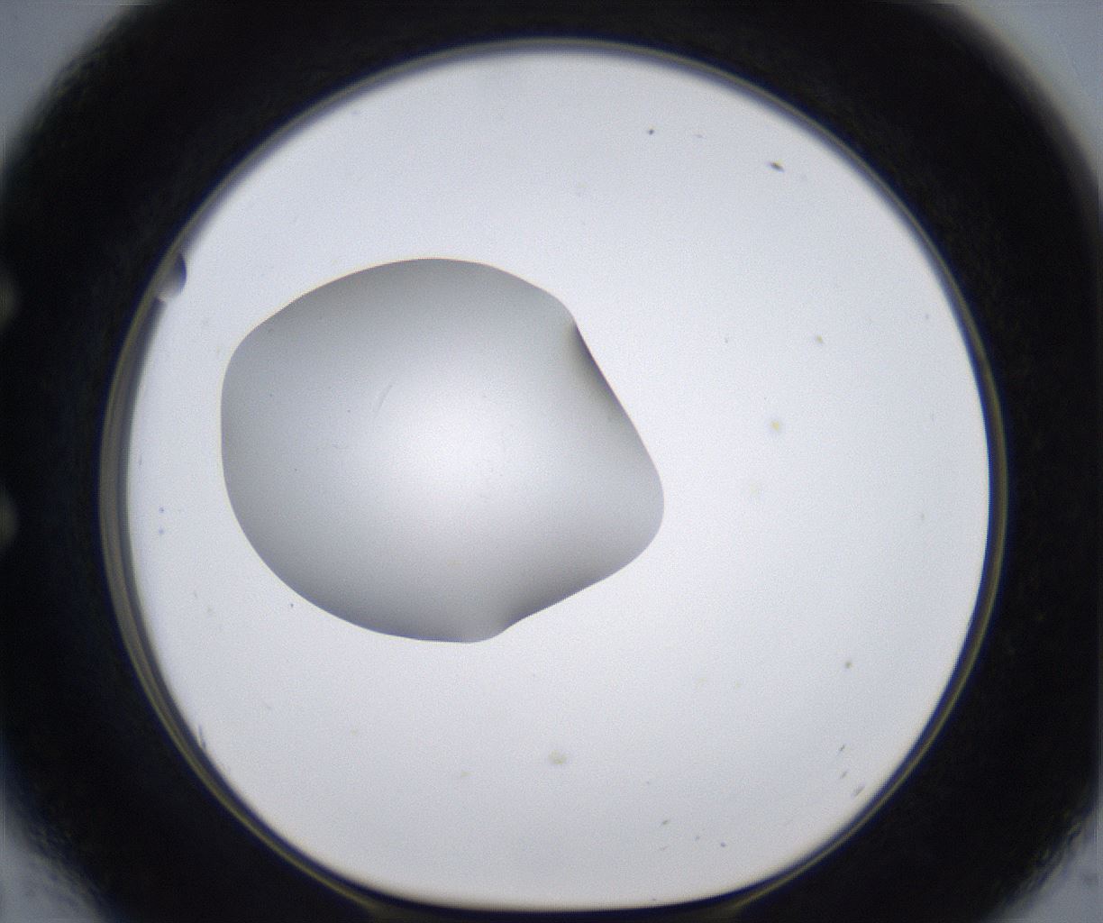 folderID377_plateID2377_batchID11227_wellNum54_profileID1_d1_r175704_ef.jpg