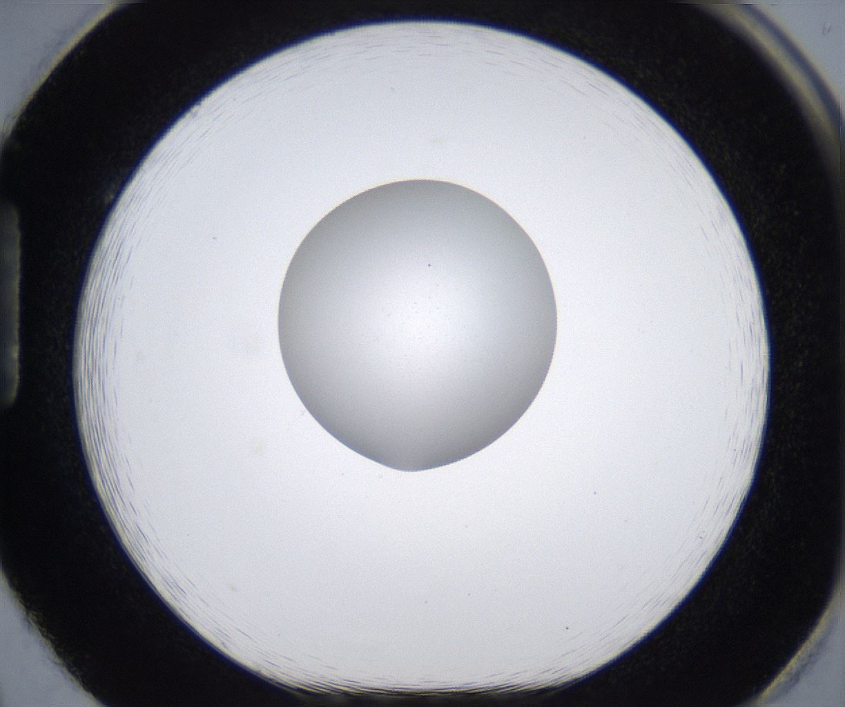 folderID377_plateID2377_batchID11227_wellNum86_profileID1_d1_r175736_ef.jpg