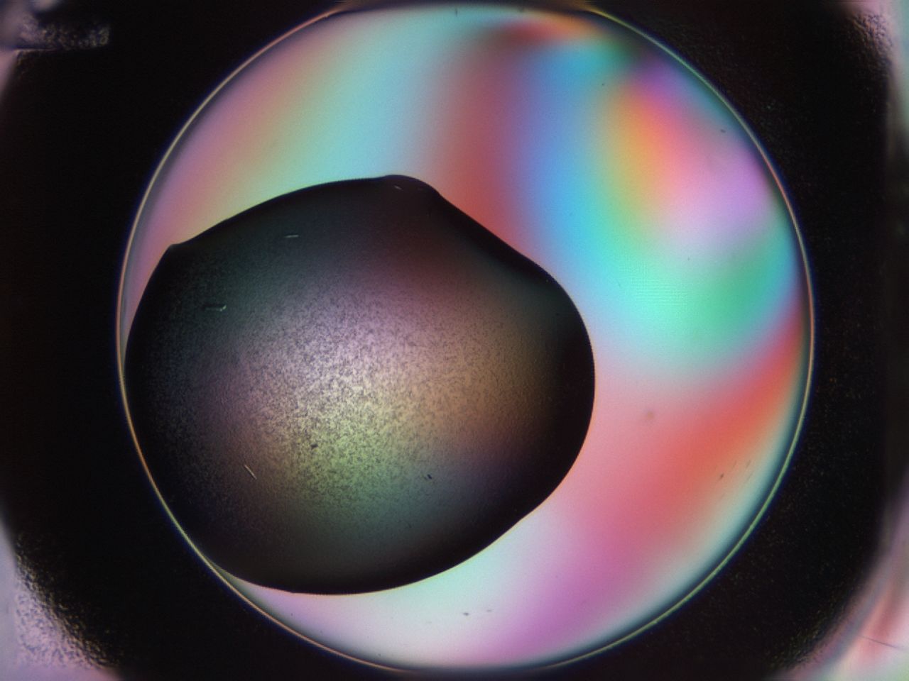 02kl_E12_ImagerDefaults_9.jpg