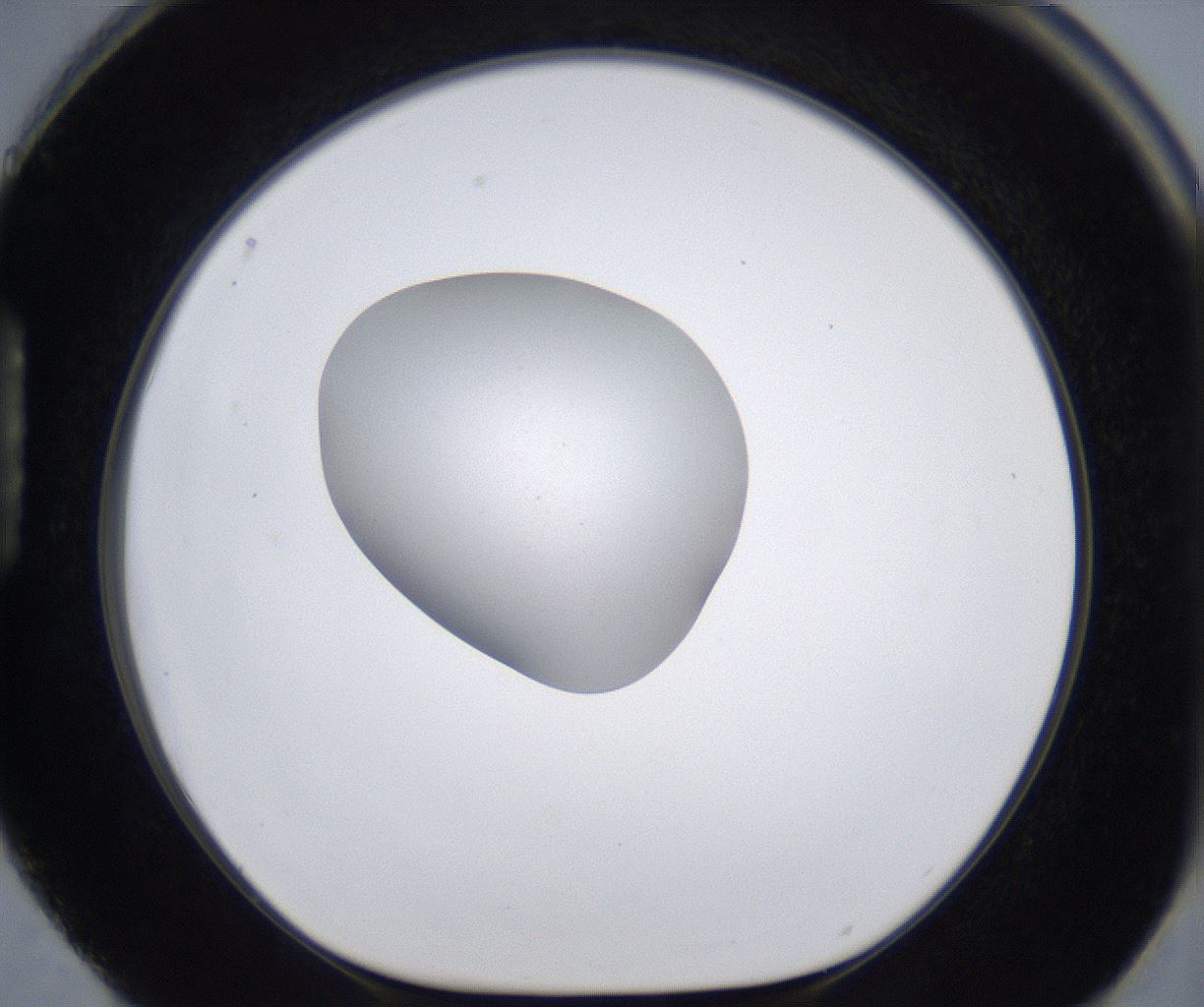 folderID380_plateID2380_batchID11225_wellNum88_profileID1_d1_r175546_ef.jpg