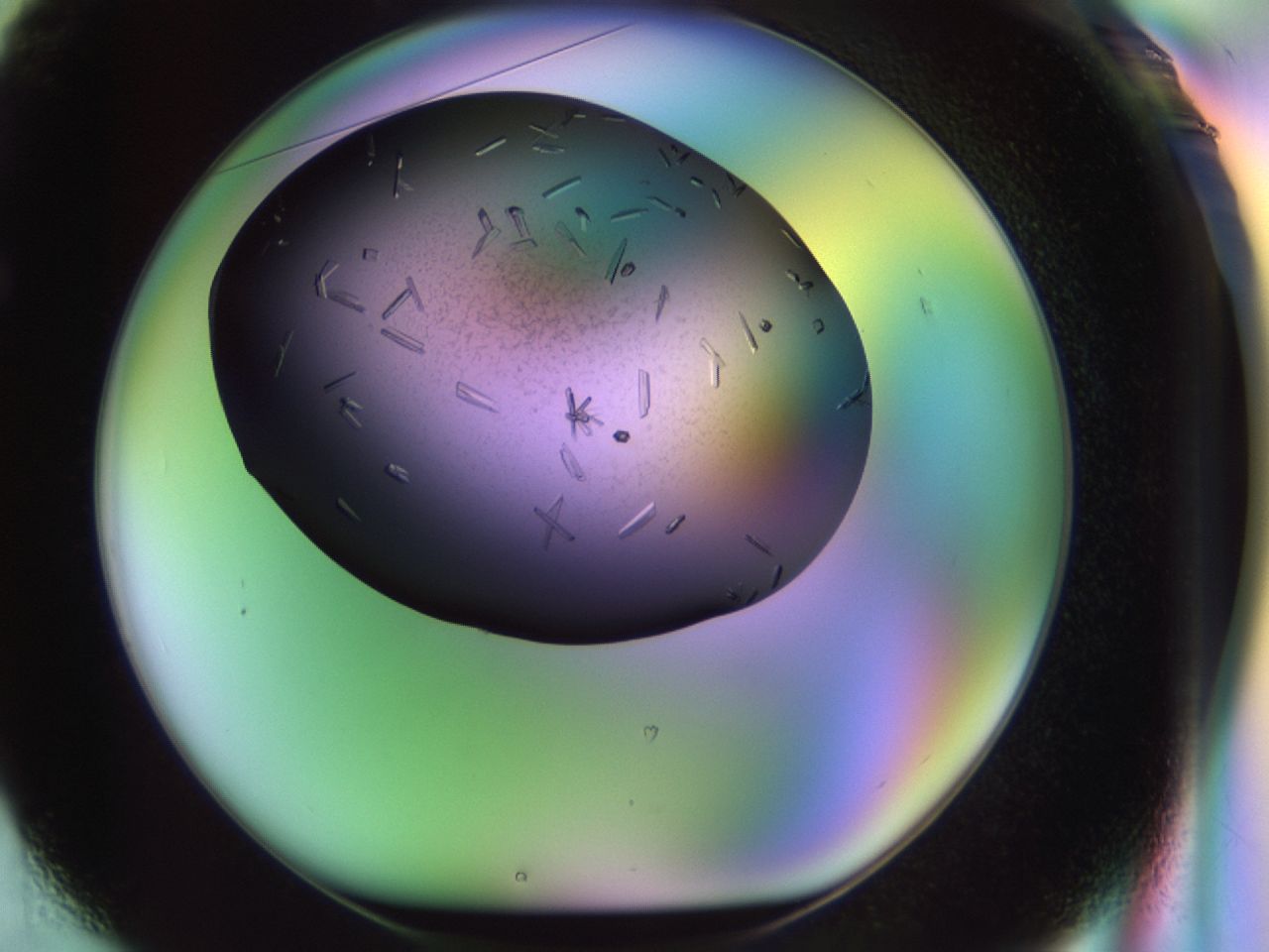 02kl_F1_ImagerDefaults_9.jpg