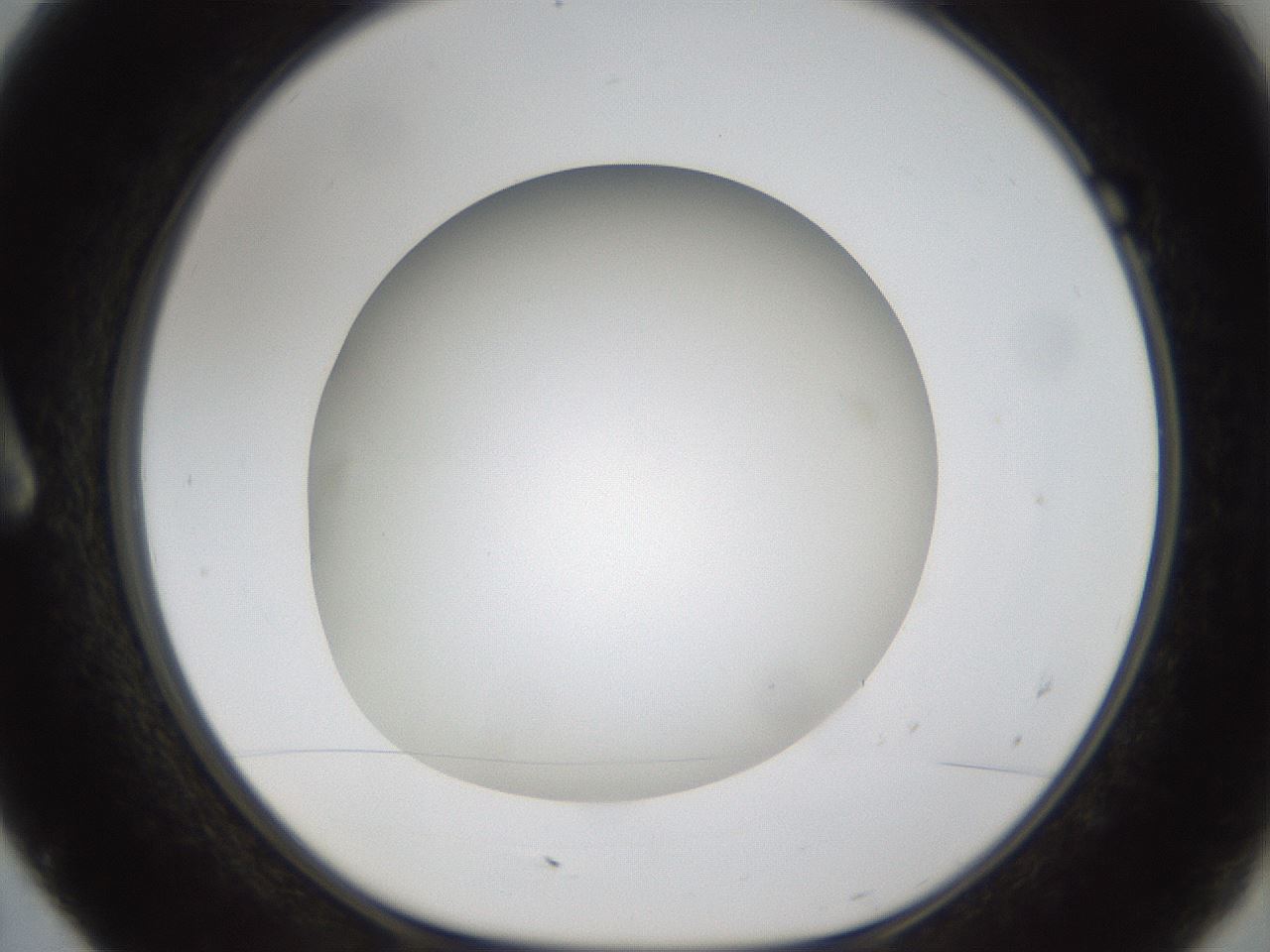 folderID303_plateID1303_batchID4266_wellNum7_profileID1_d1_r78494_ef.jpg
